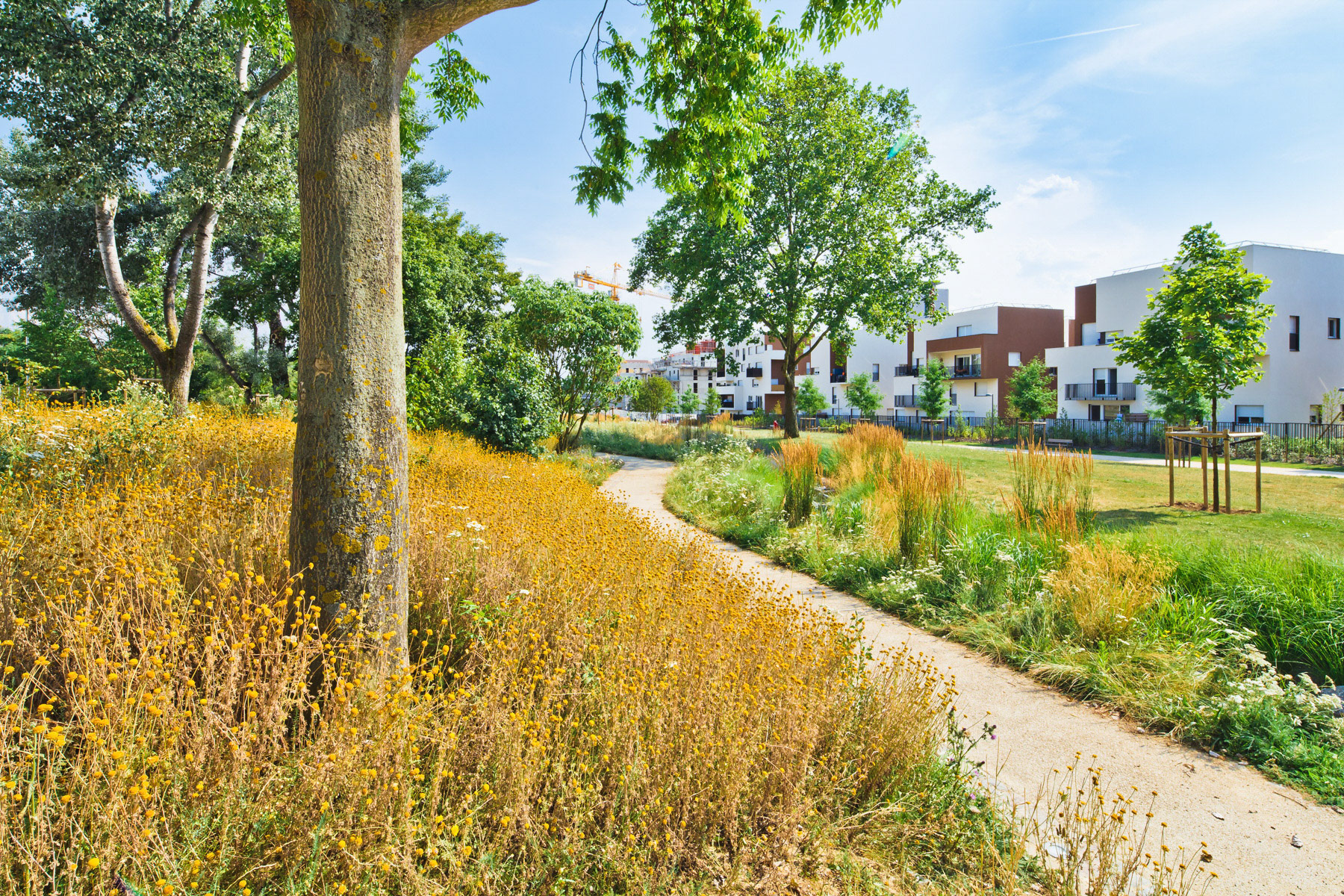 Parc Mermoz, Orly • Florence Mercier Paysagiste