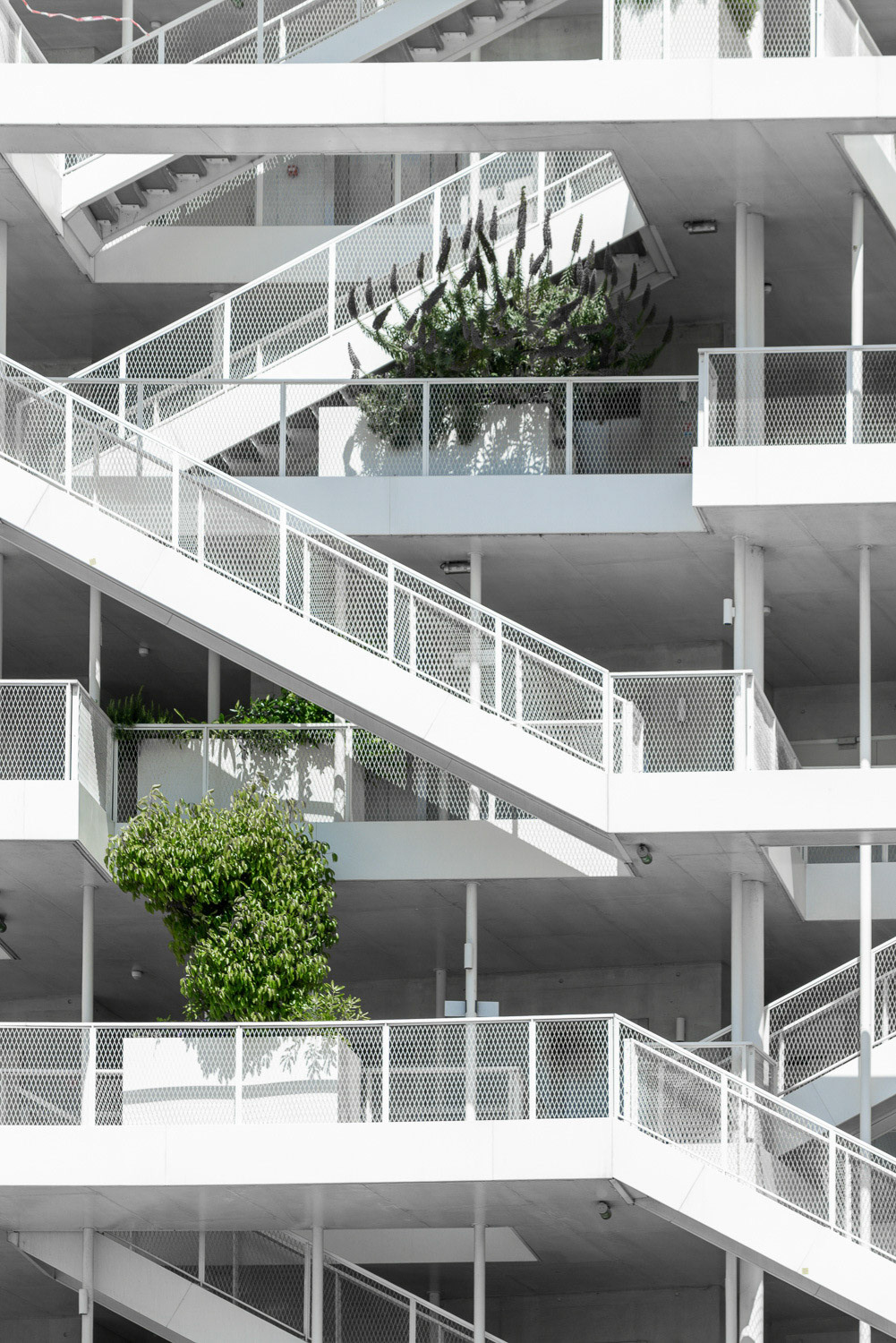Nicolas Laisne Architectes and DREAM Dimitri Roussel • Anis