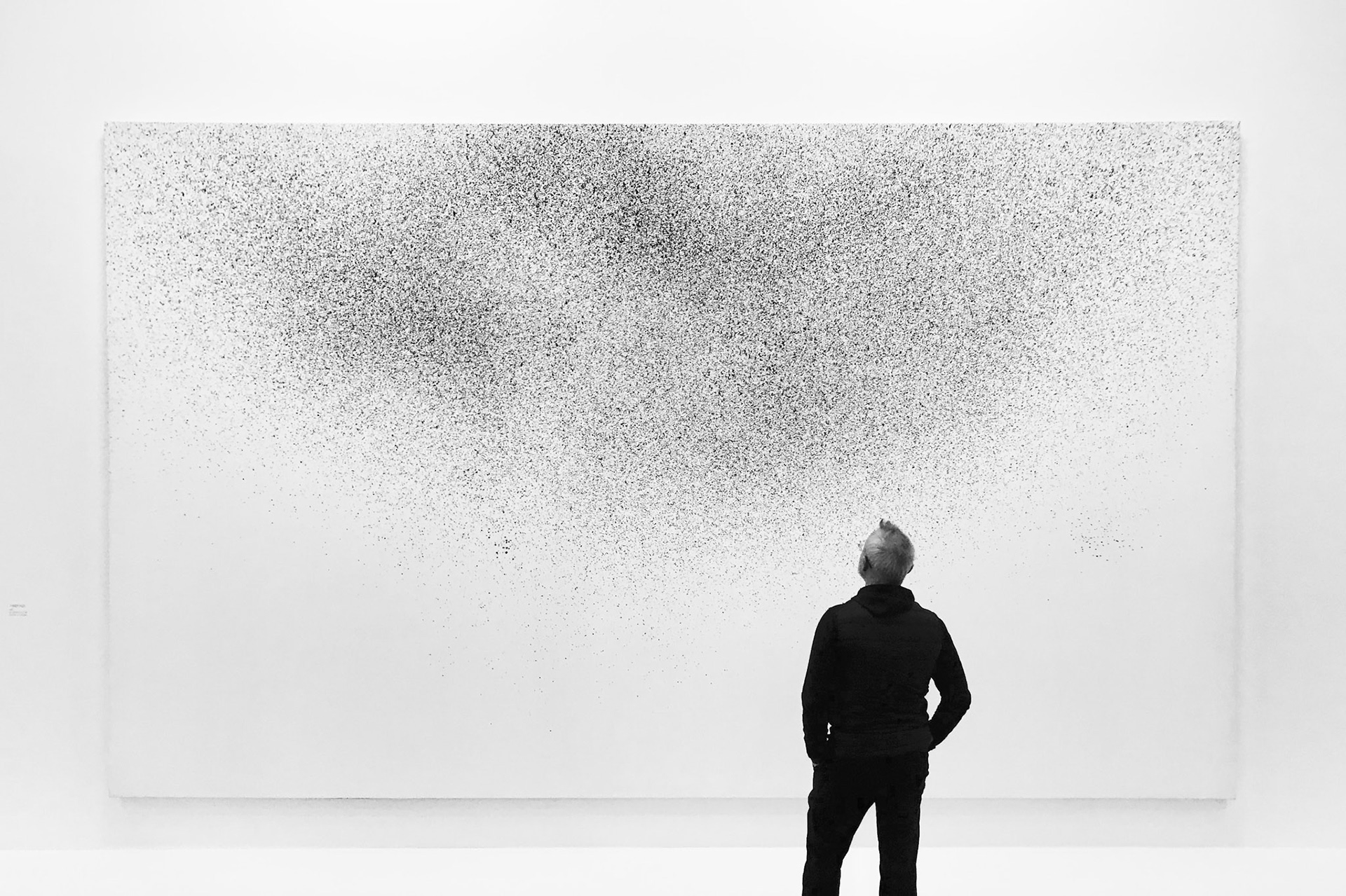 Hans Hartung, La fabrique du geste, Musée d’art moderne de Paris, 2019