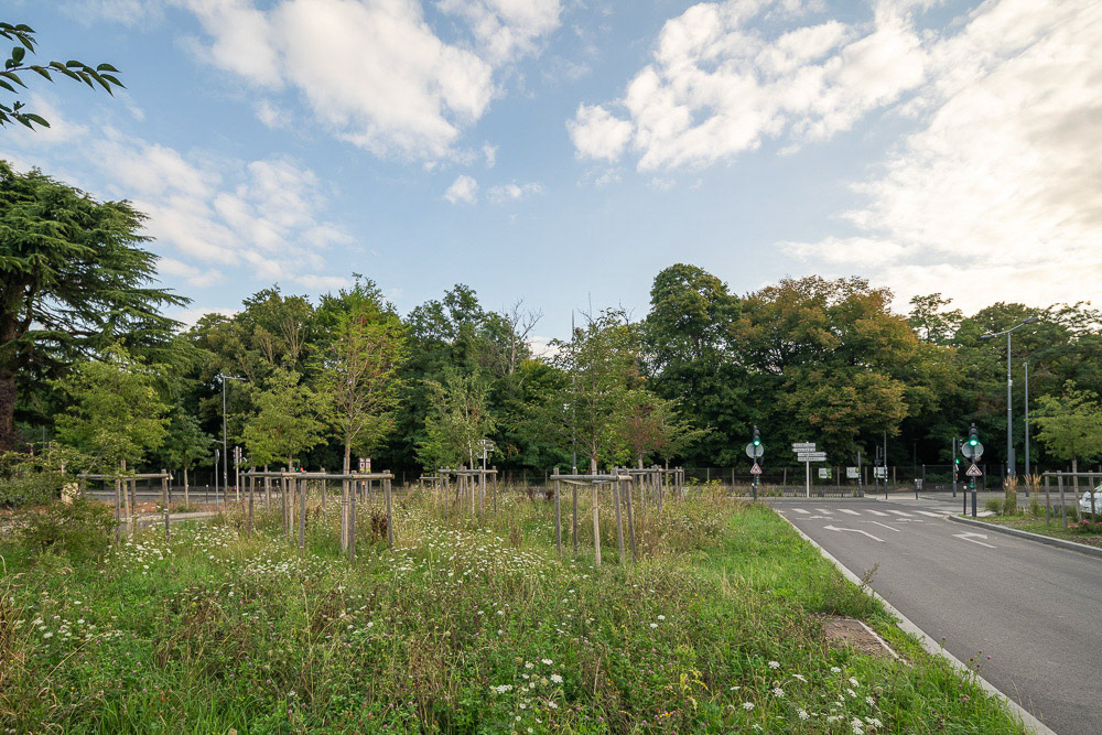 Grigny - Tuilerie