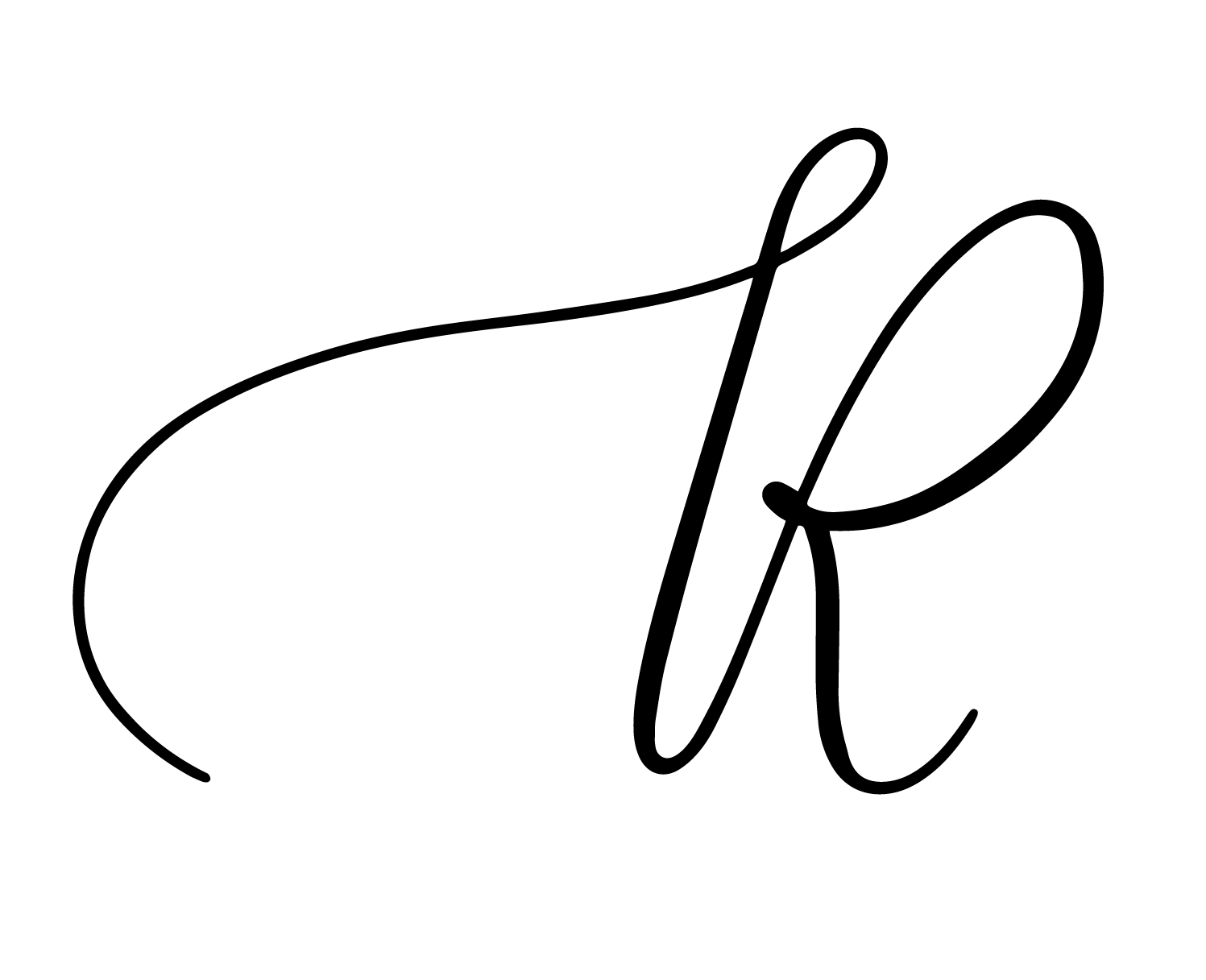 Logo Versions