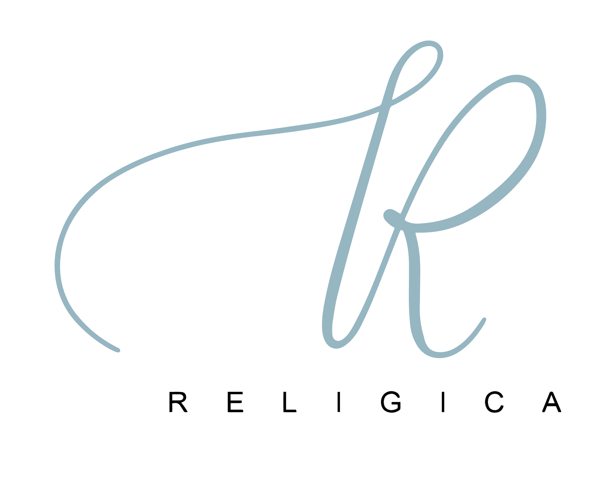 Logo Versions