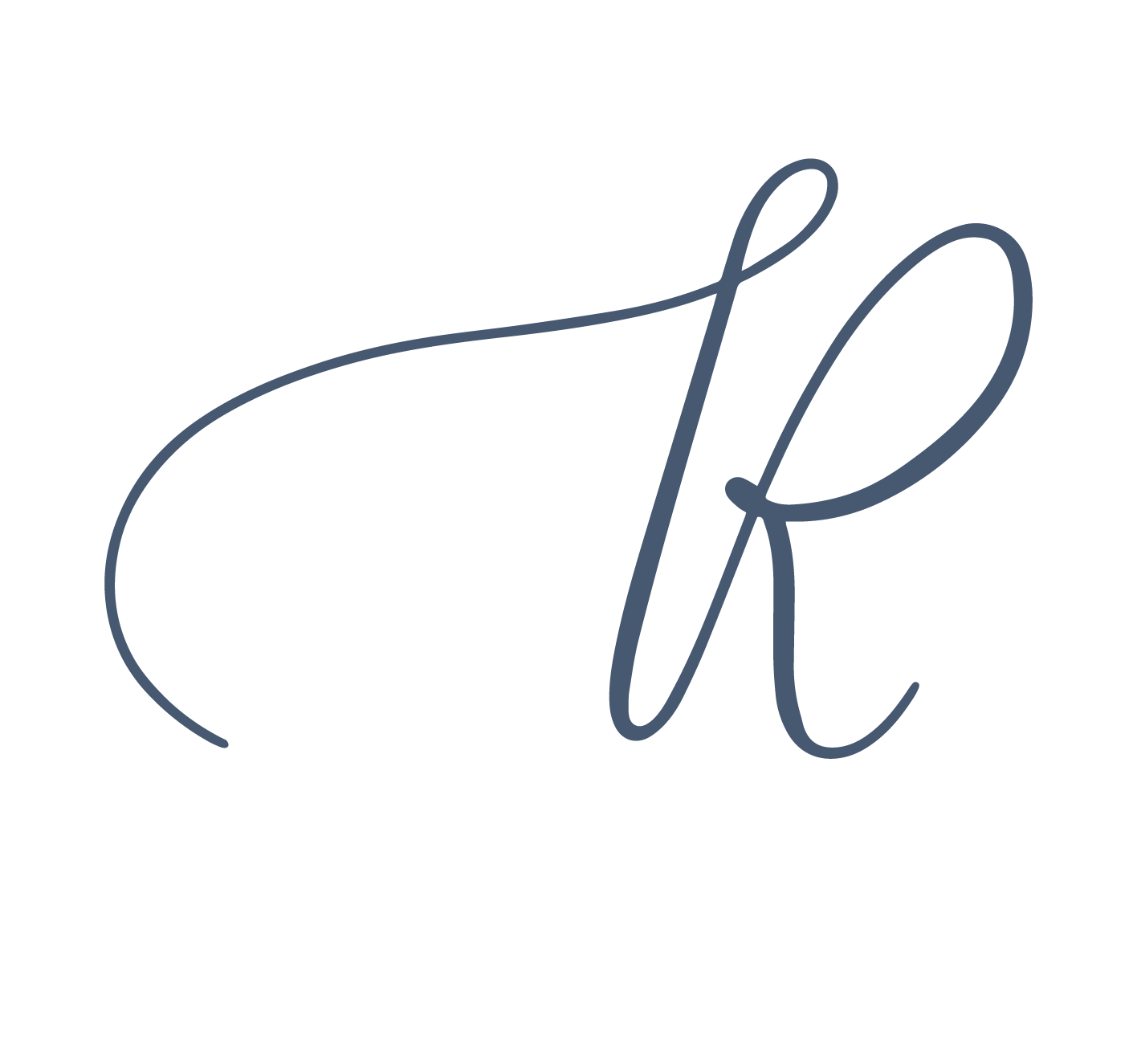 Logo Versions