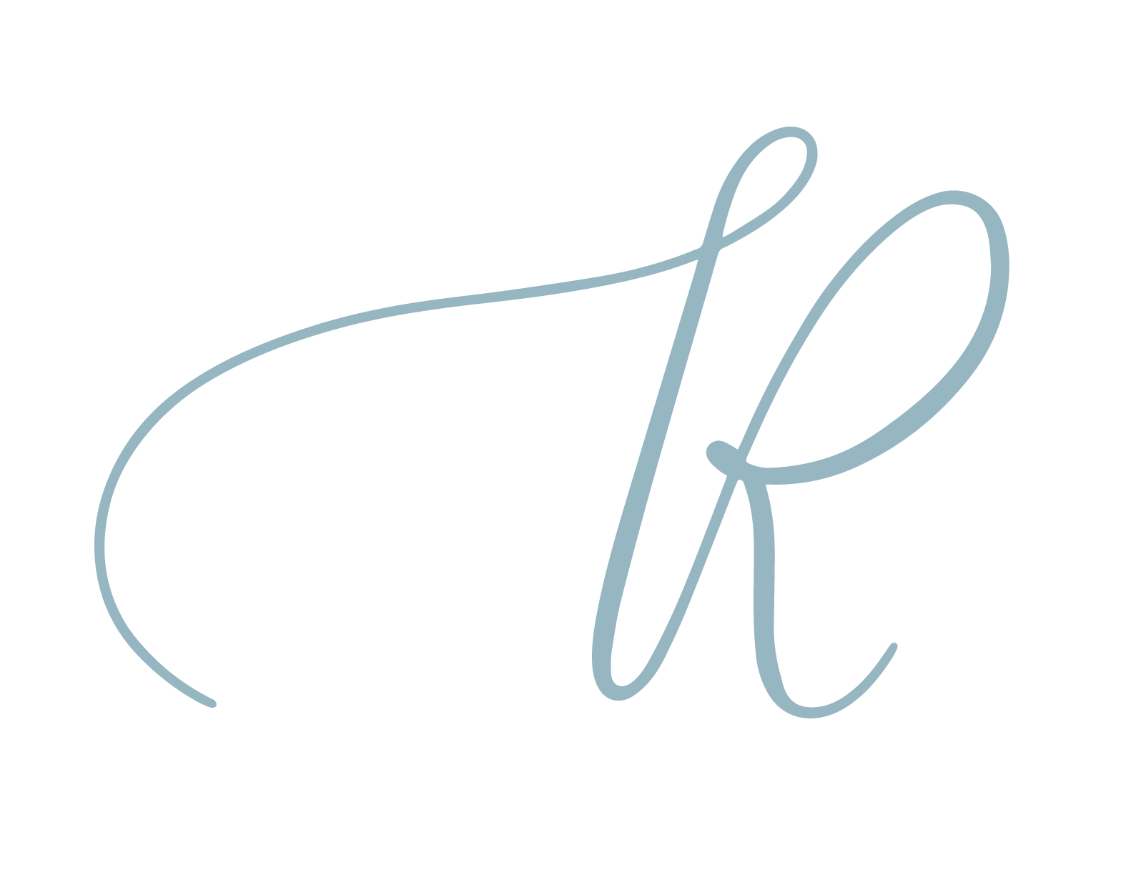 Logo Versions