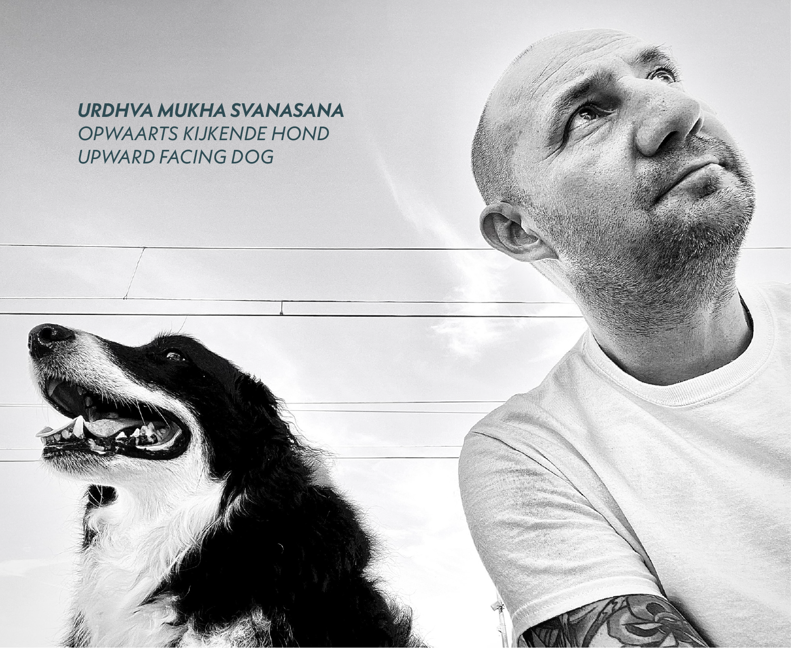 Een zwart-wit foto waarop Tom Bruelemans rechts in beeld staat, en zijn hond Bassie, een Border Collie, links in beeld. Beiden kijken ze naar boven. De foto symboliseert de yogahouding "opwaarts kijkende hond" (Urdhva Mukha Svanasana).