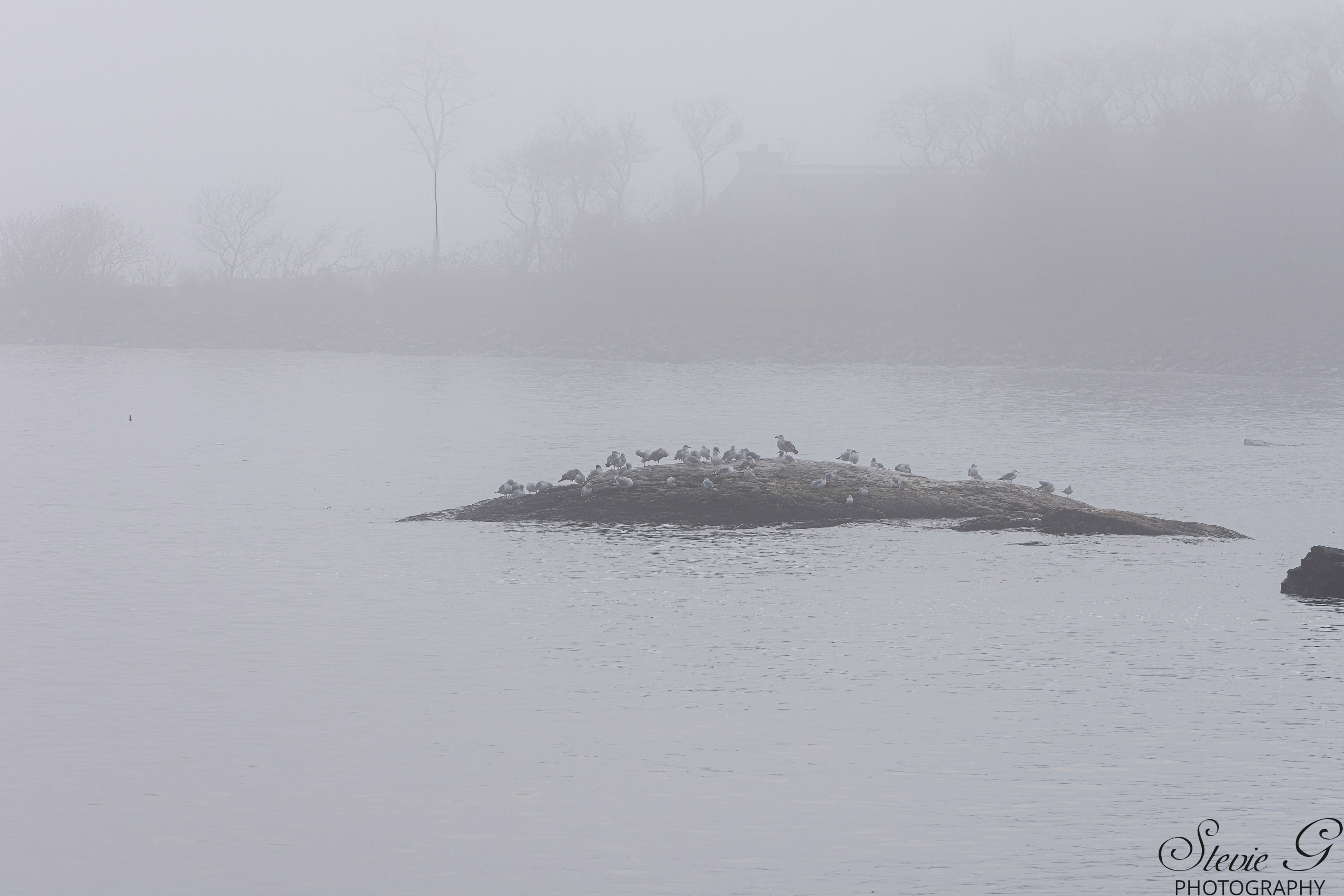 Odiorne State Park