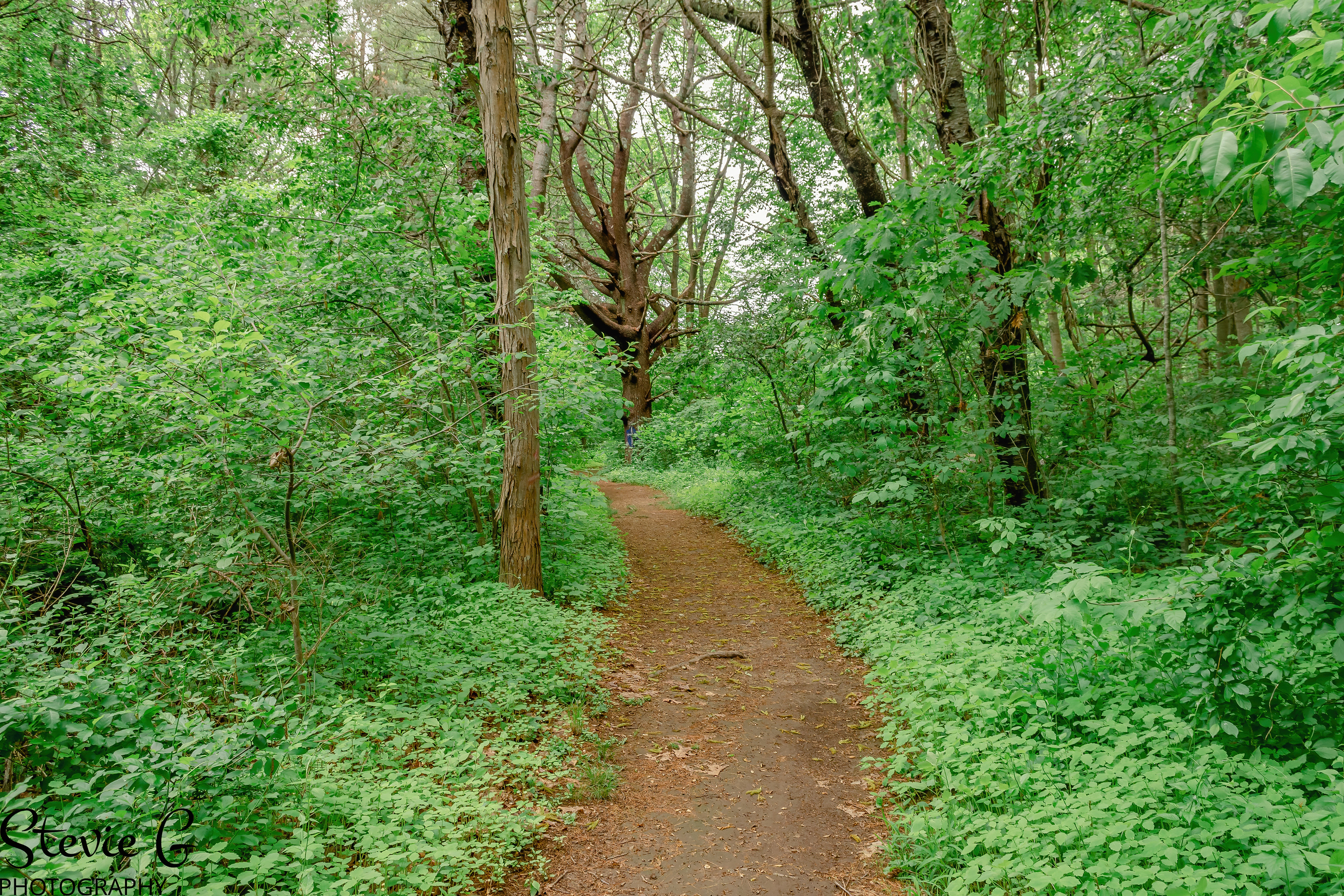 Odiorne State Park