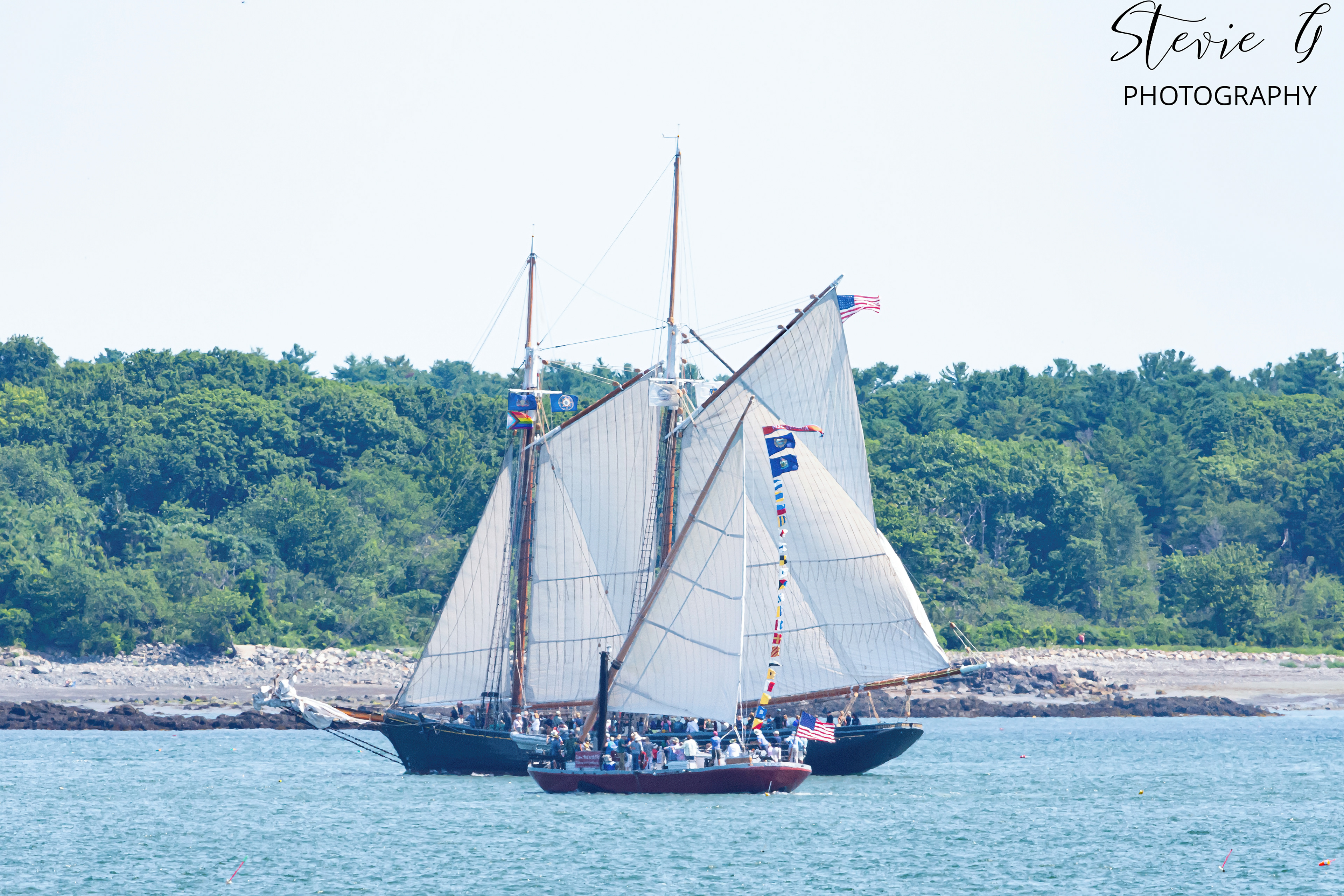 Parade of Sail Schooner