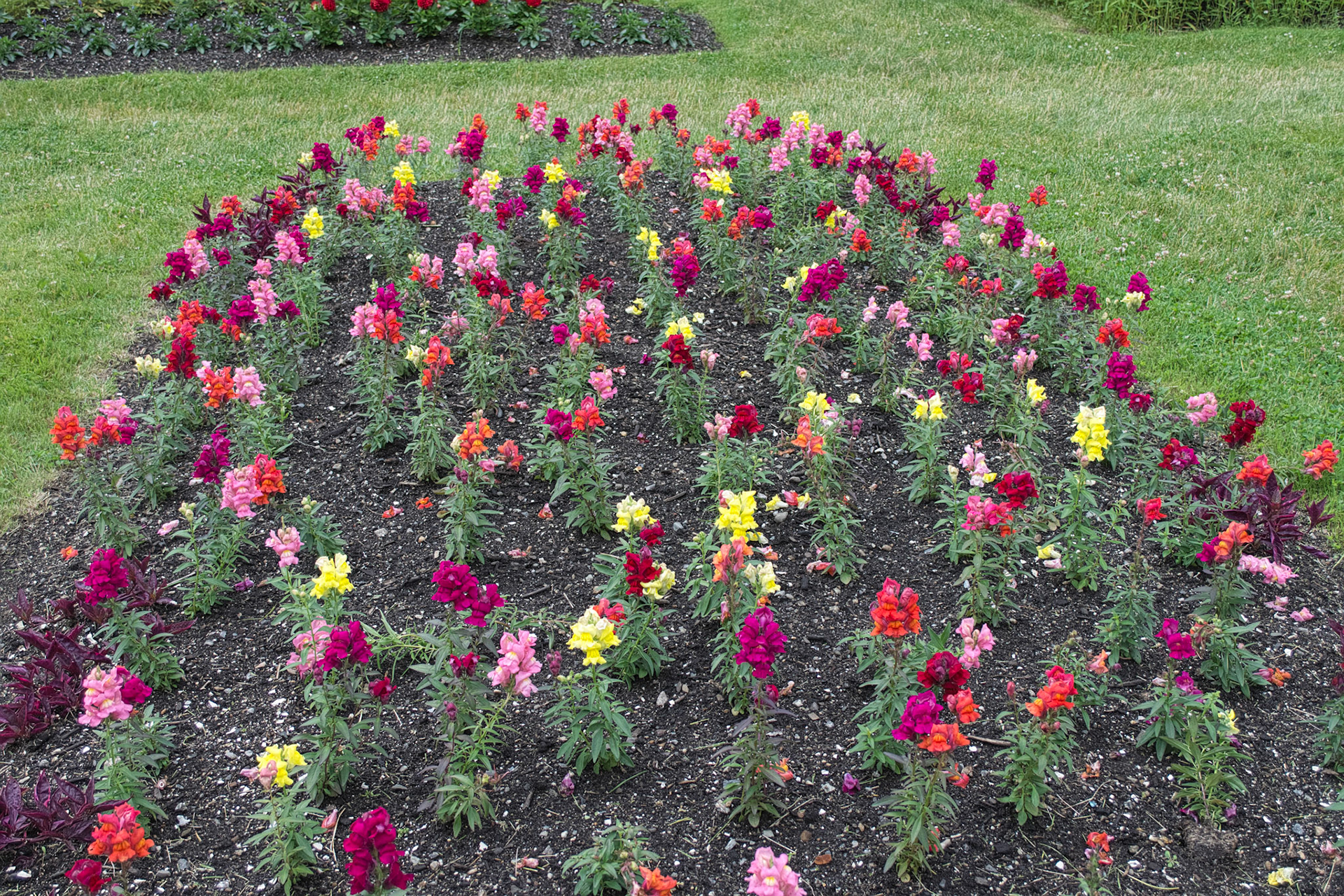Prescott park
