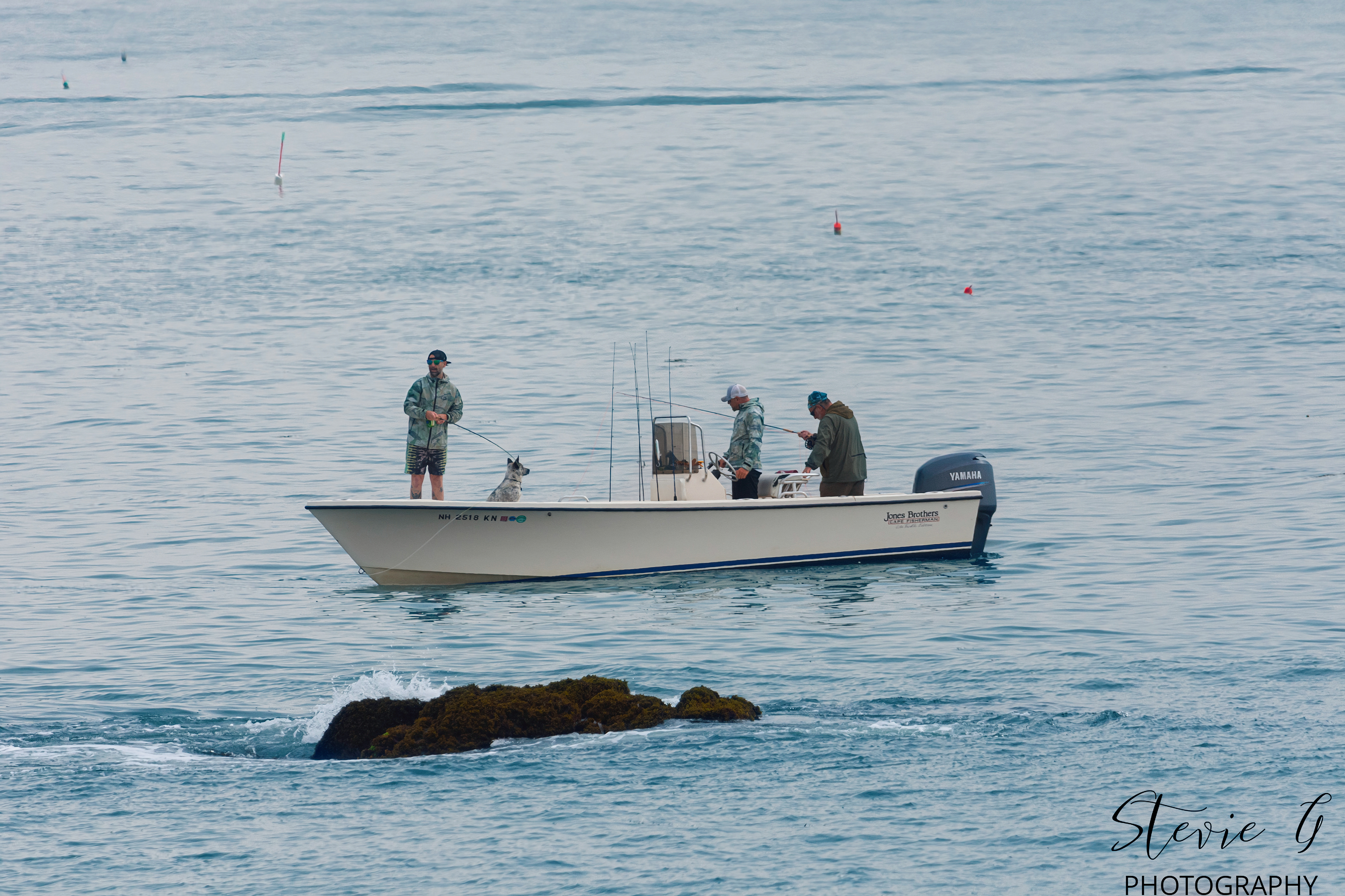 Striper Fishing - Odiorne State Park