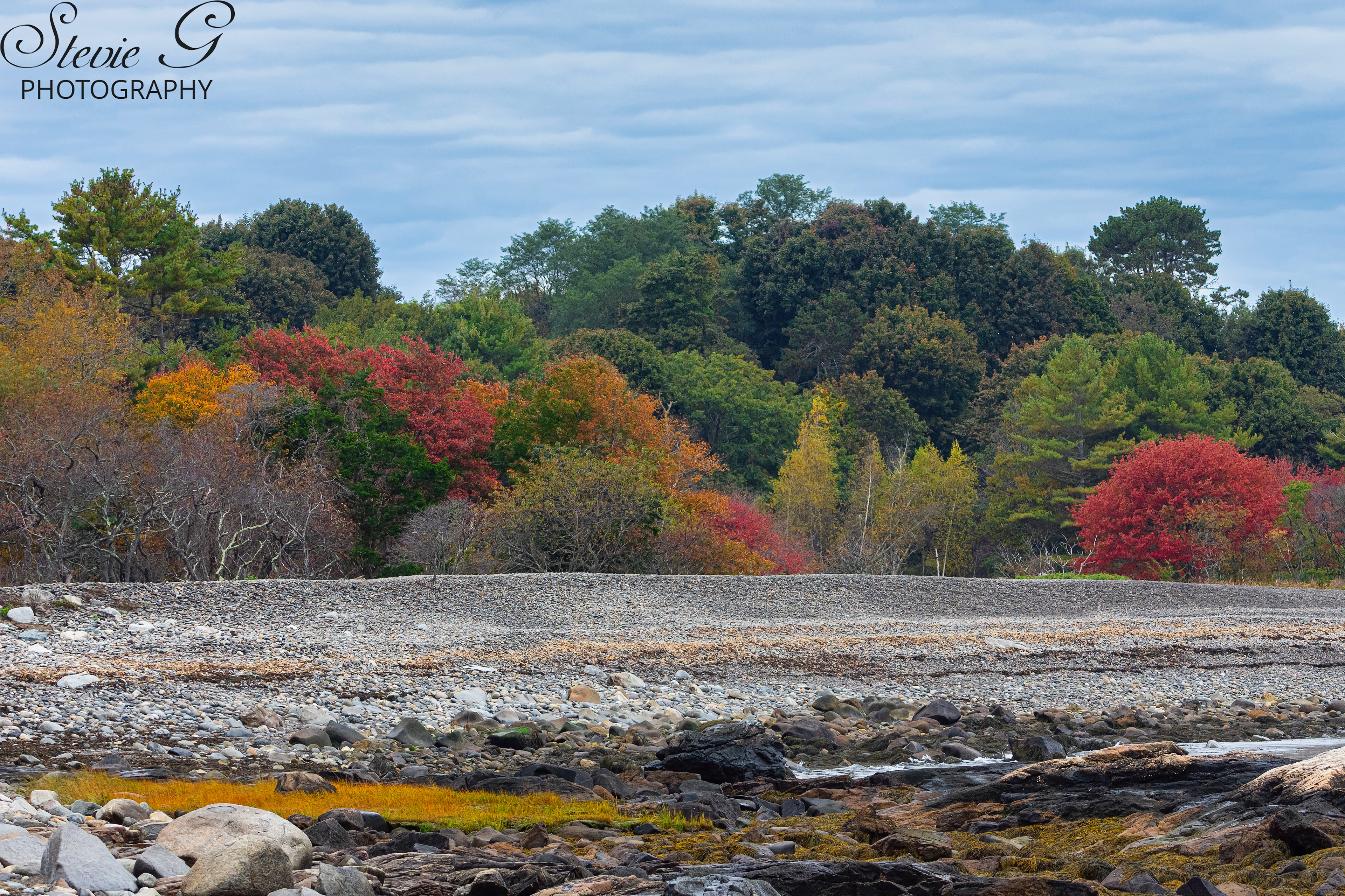 Odiorne State Park