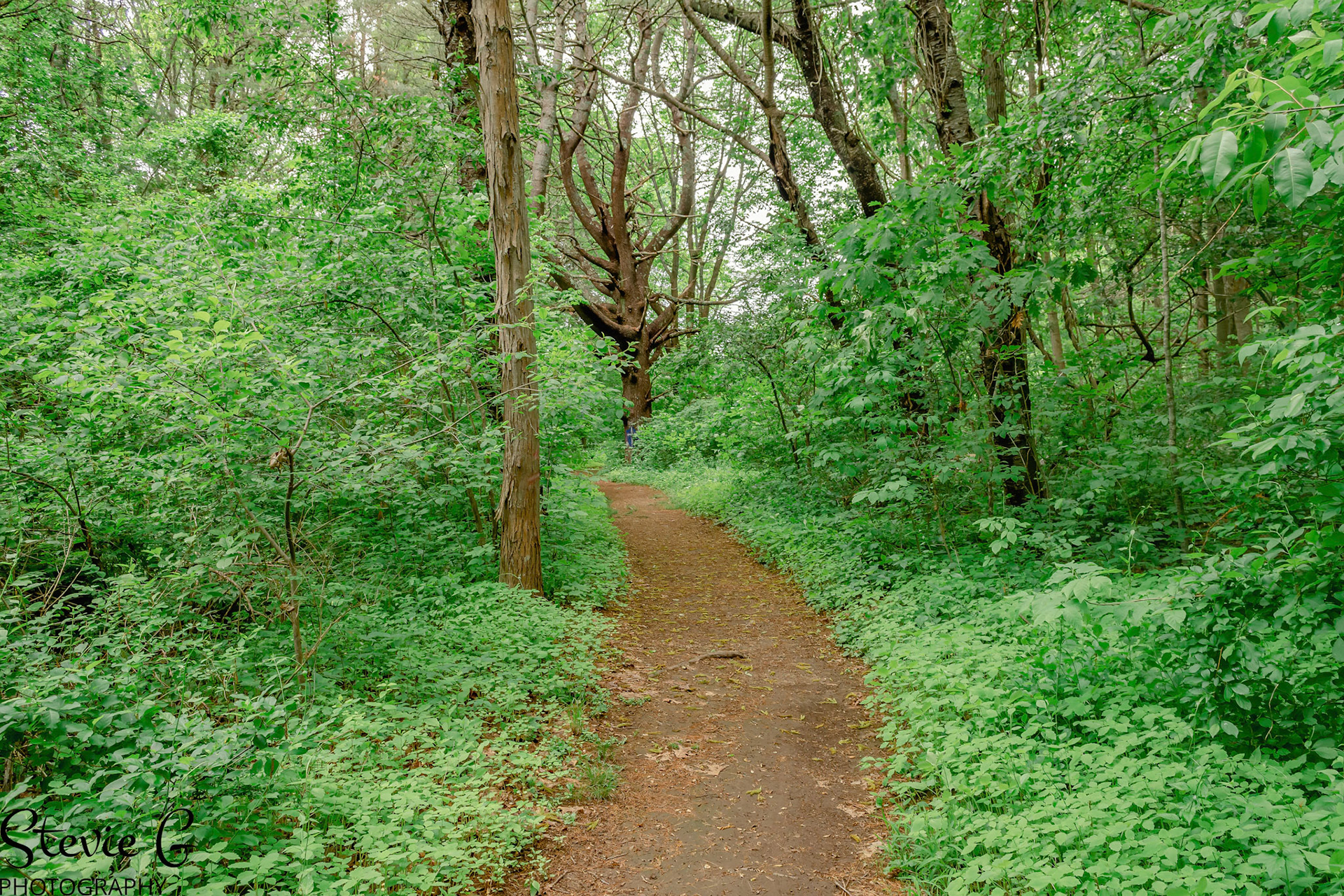 Odiorne State Park