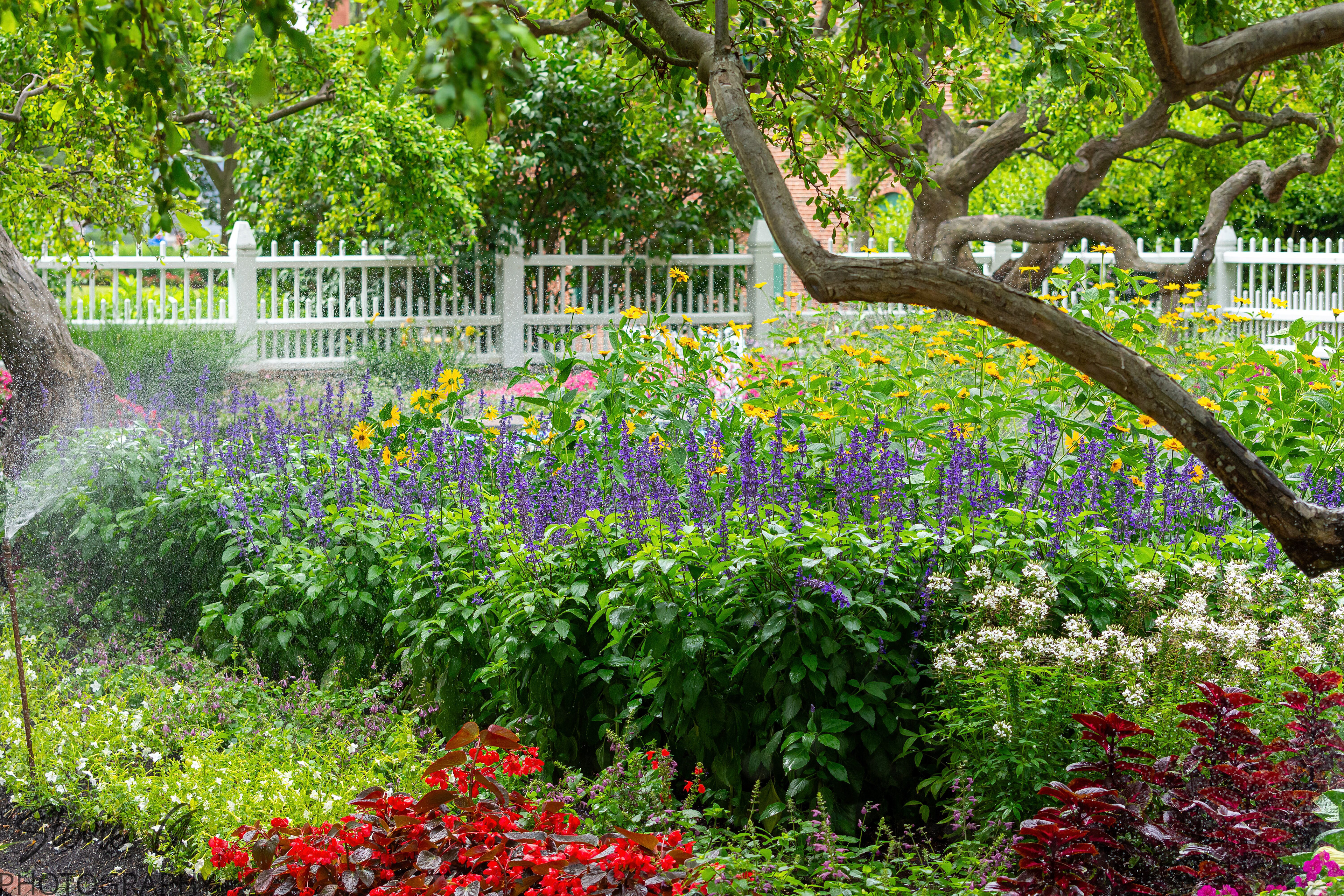 Prescott Park