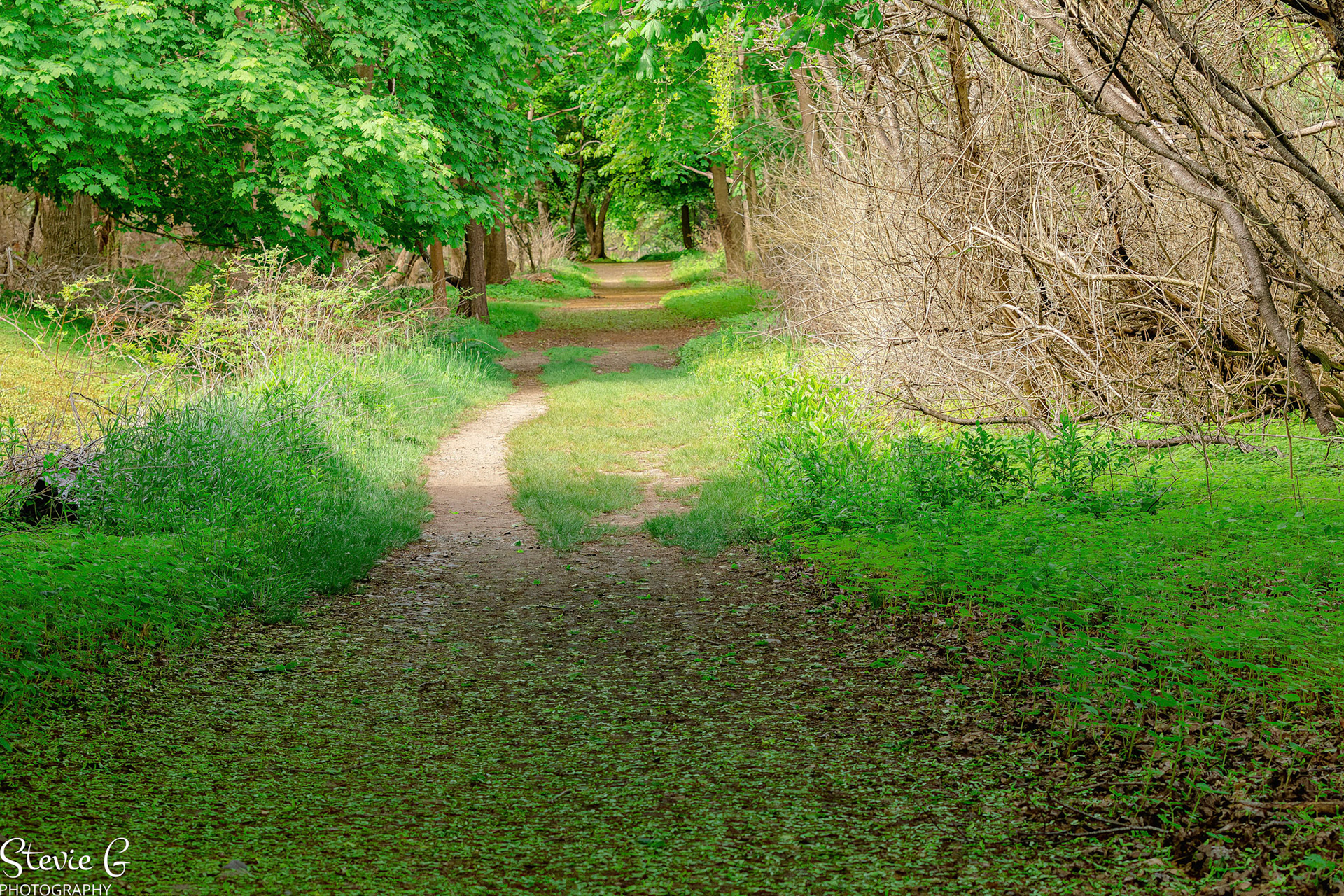 Odiorne state park