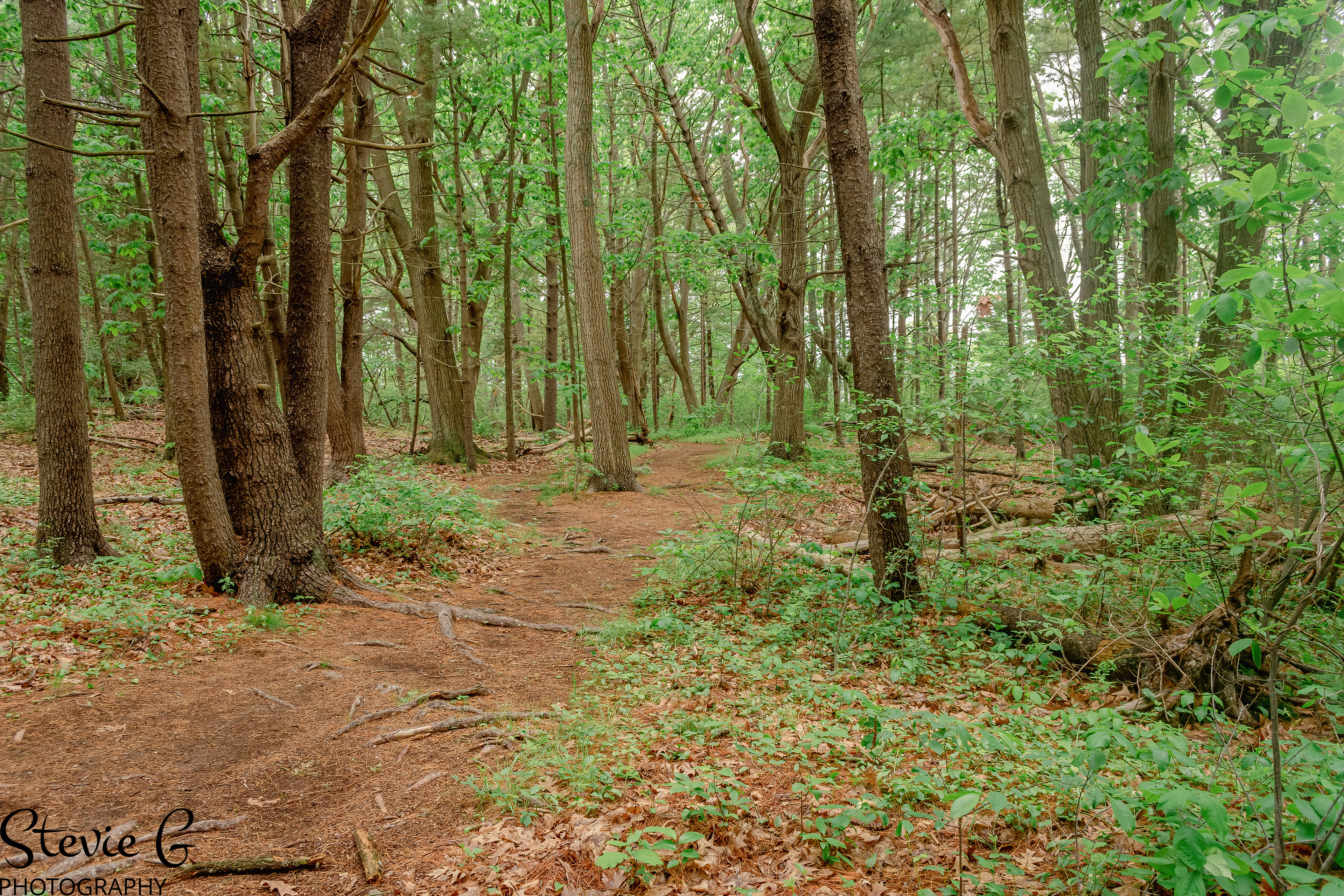 Odiorne State Park