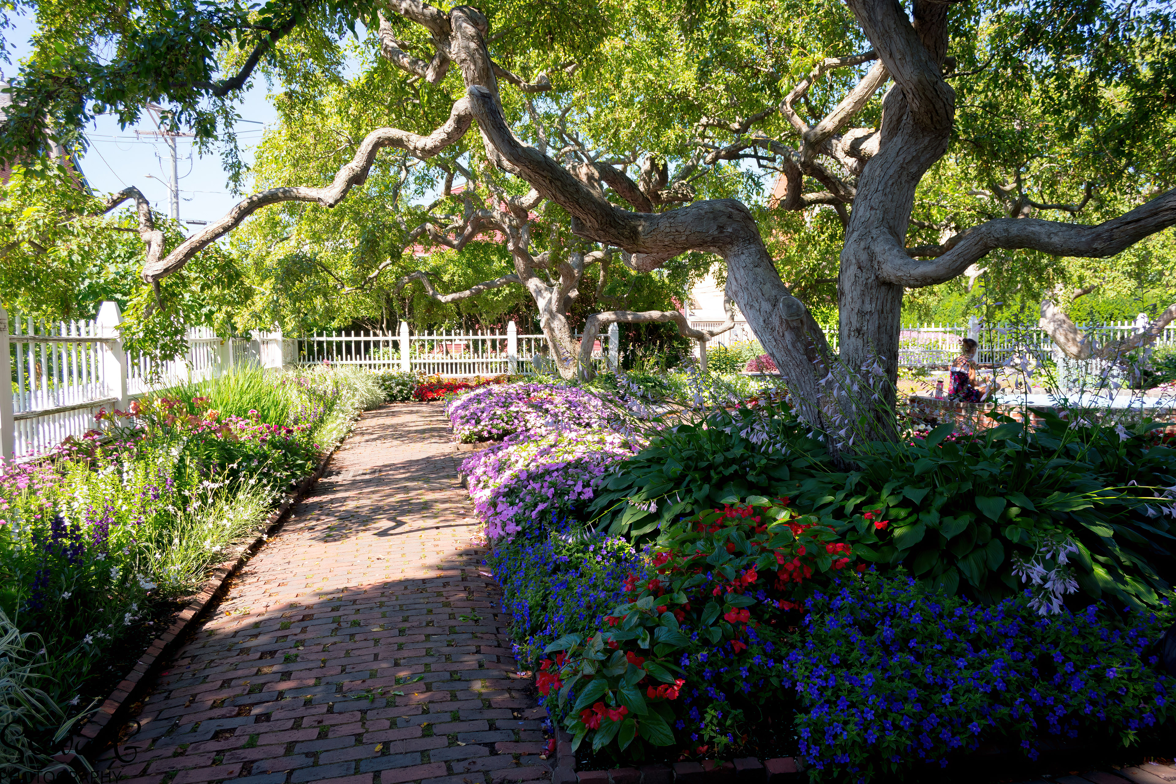 Prescott Park
