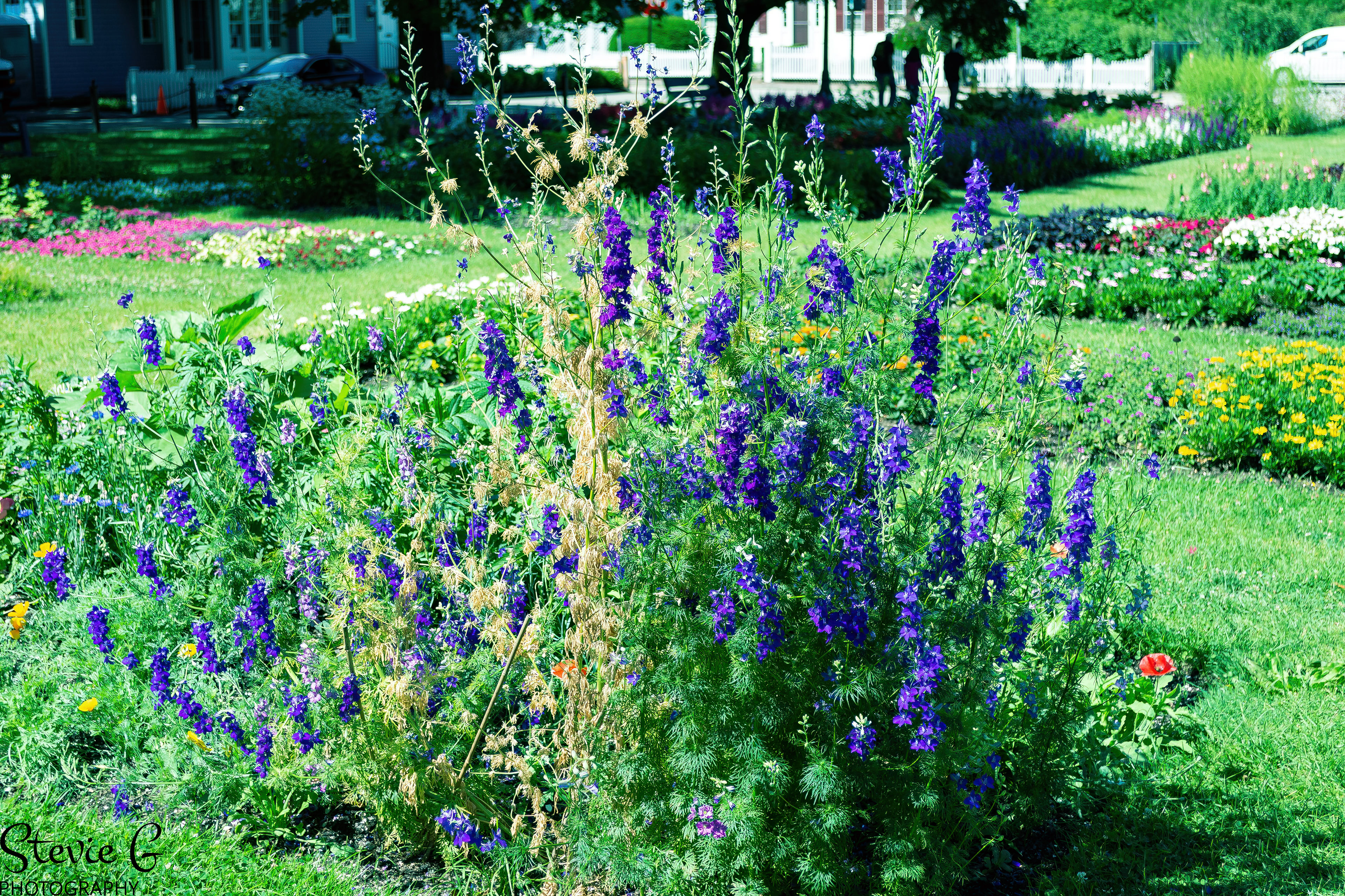 Prescott Park