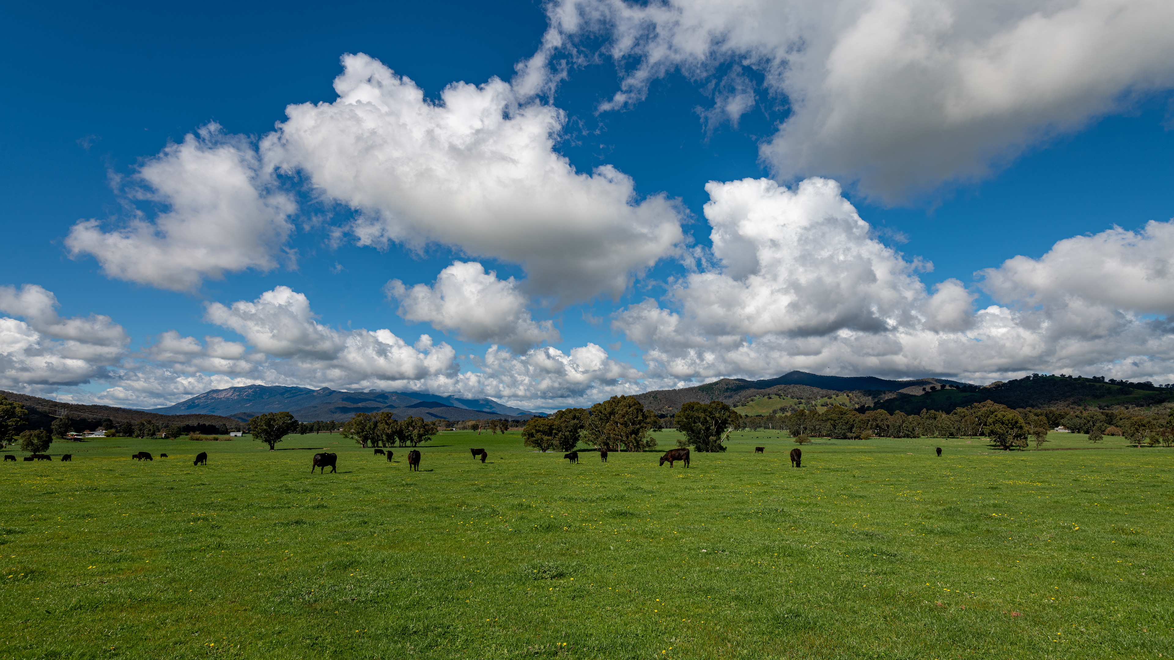 Victorian Highlands
