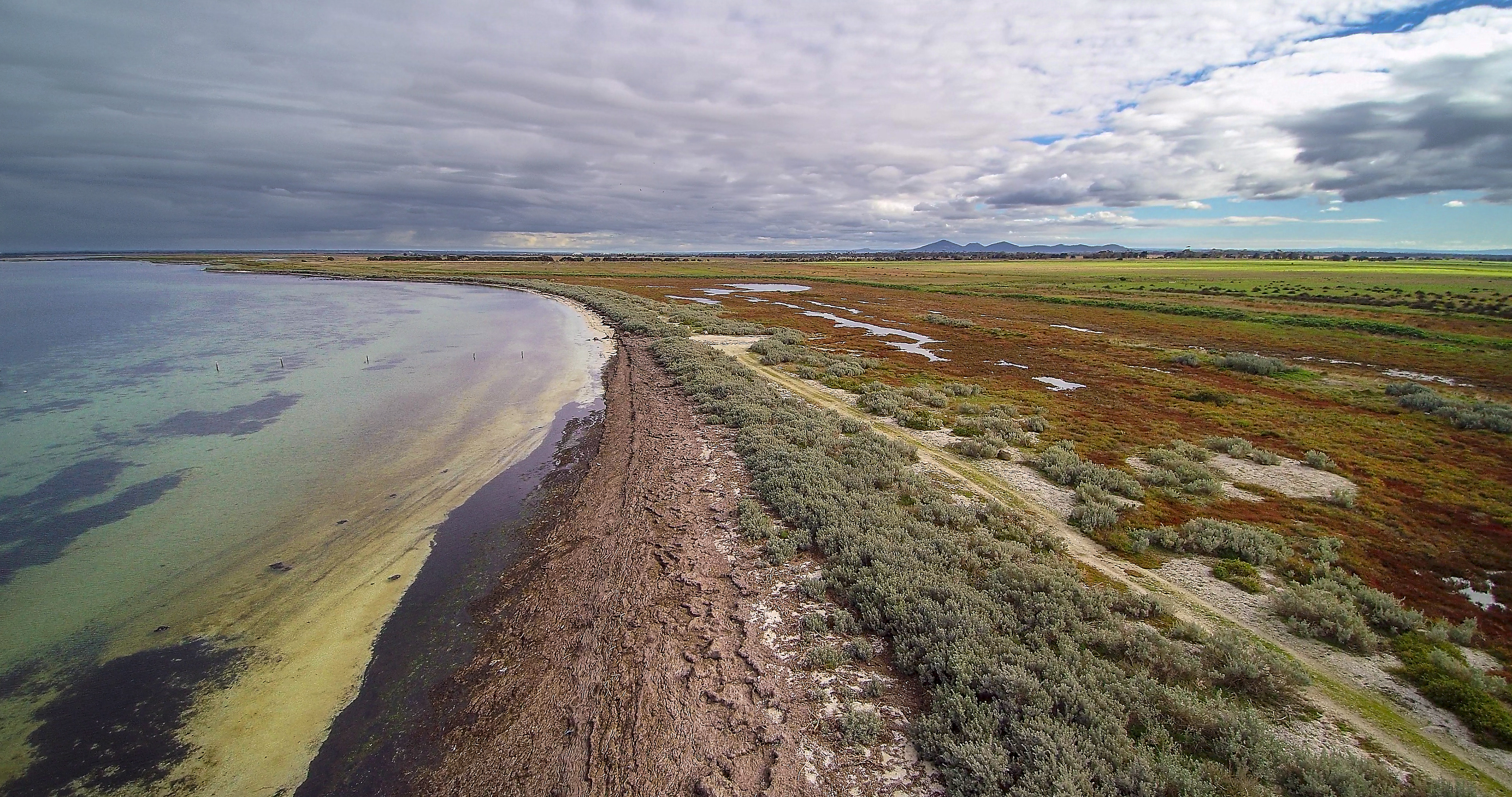 Point Wilson