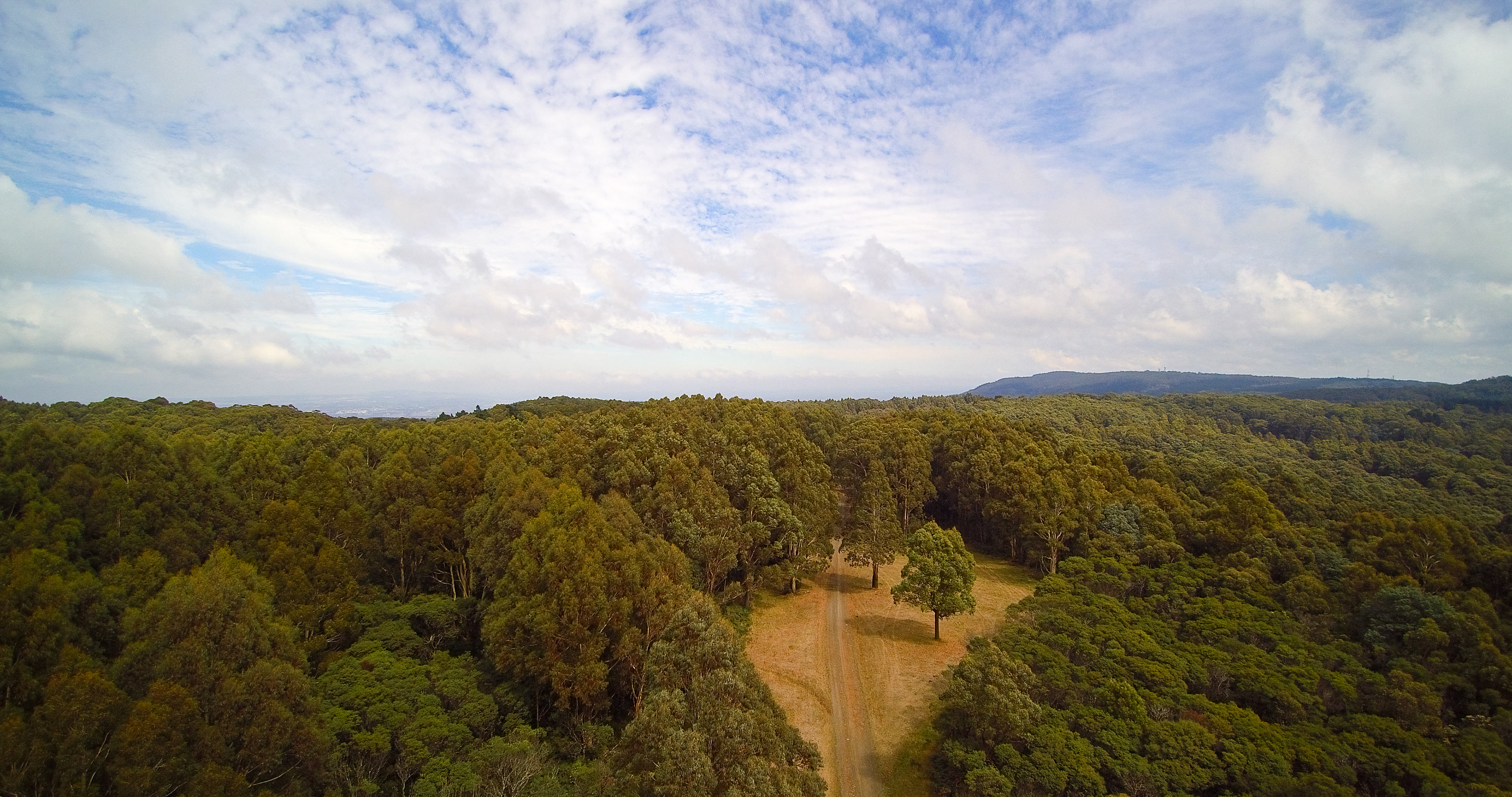 Great Dividing Range