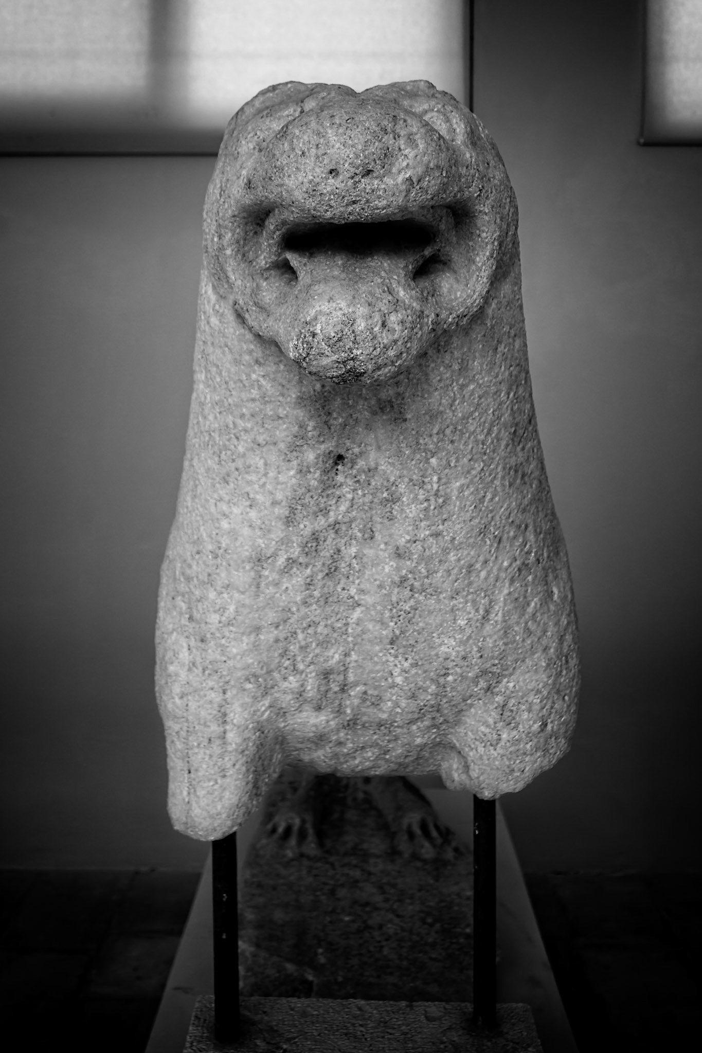 Delos, Greece - May 22nd 2018: A weathered lion statue stands guard. These iconic figures once lined the Sacred Way, honoring Apollo's birthplace.