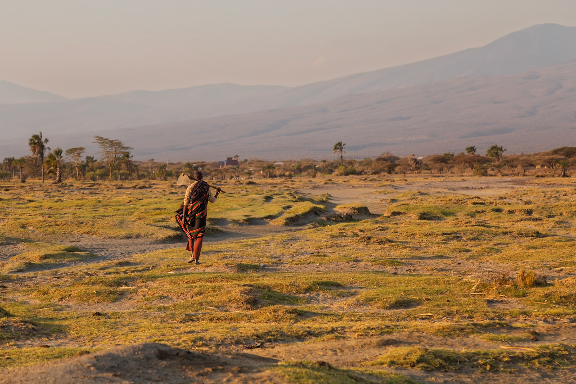 Lake Eyasi, Tanzania - September 27th 2025: A A man carries a hoe across a grassy plain at sunset, likely heading to or from agricultural work.