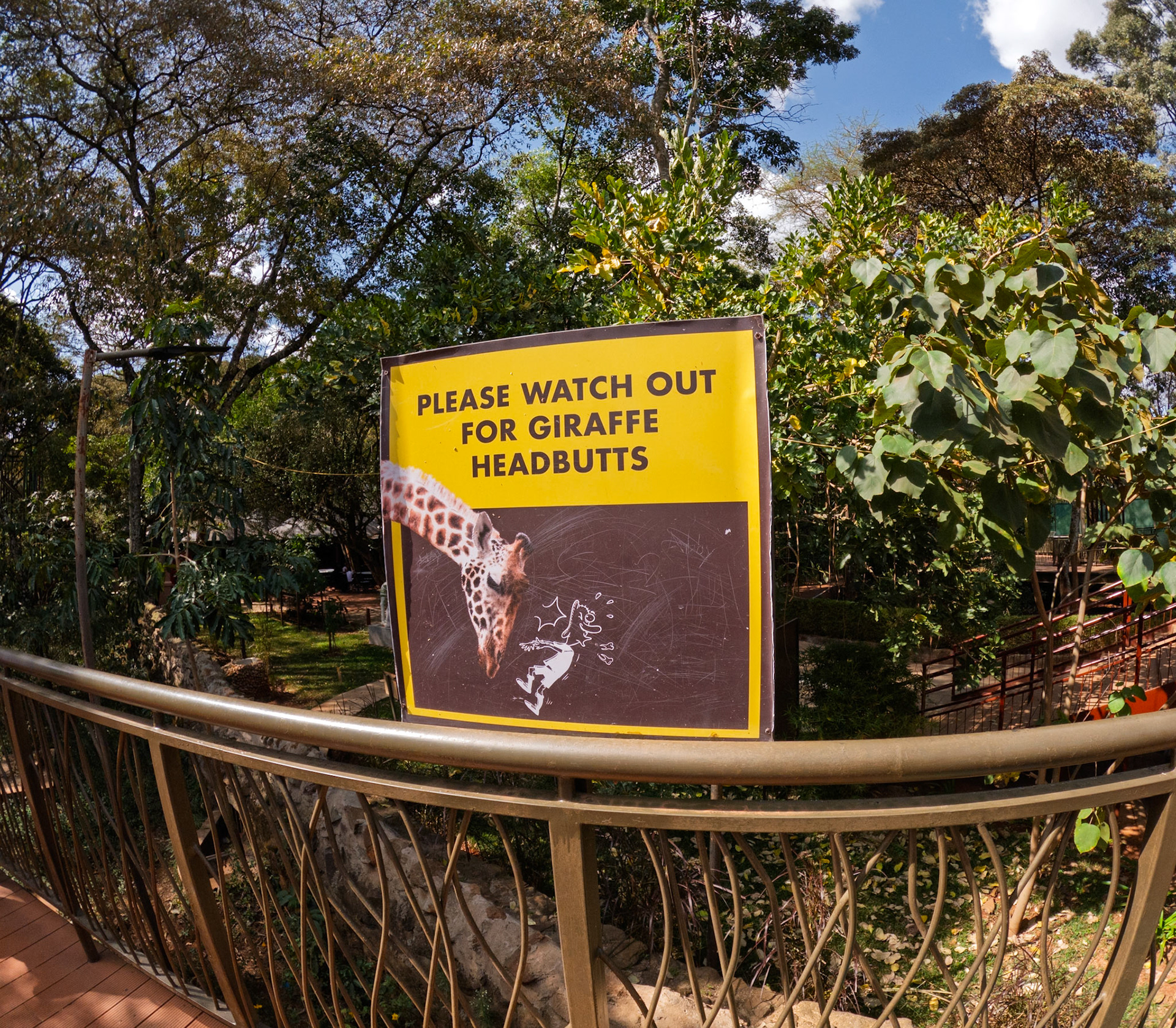 A sign at Giraffe Center in Kenya warns visitors to watch out for giraffe headbutts, showing the potential danger of these animals.