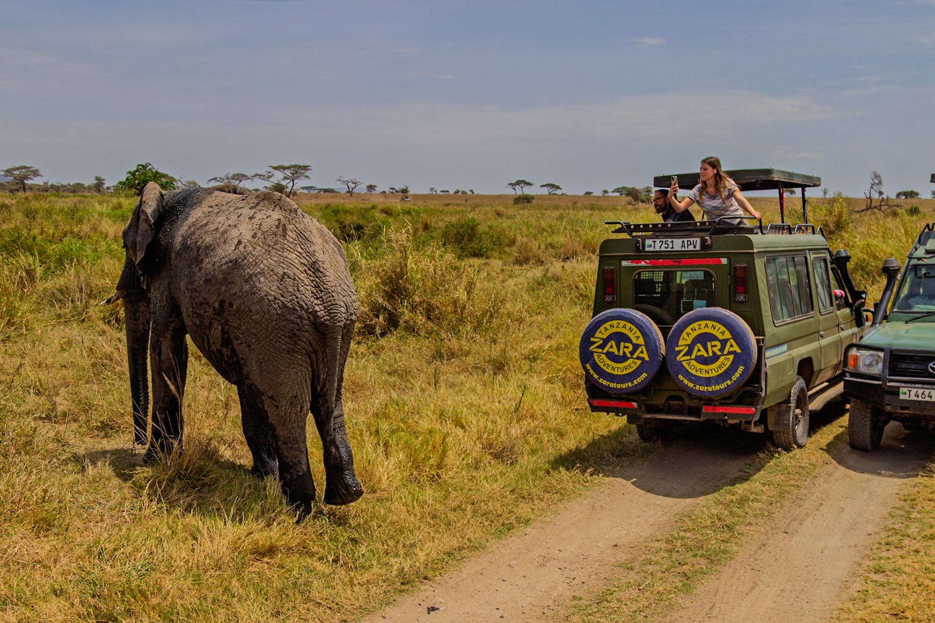 Tourists in Tanzania's Serengeti National Park observe an elephant from a Zara Adventure vehicle, capturing the moment with a phone.