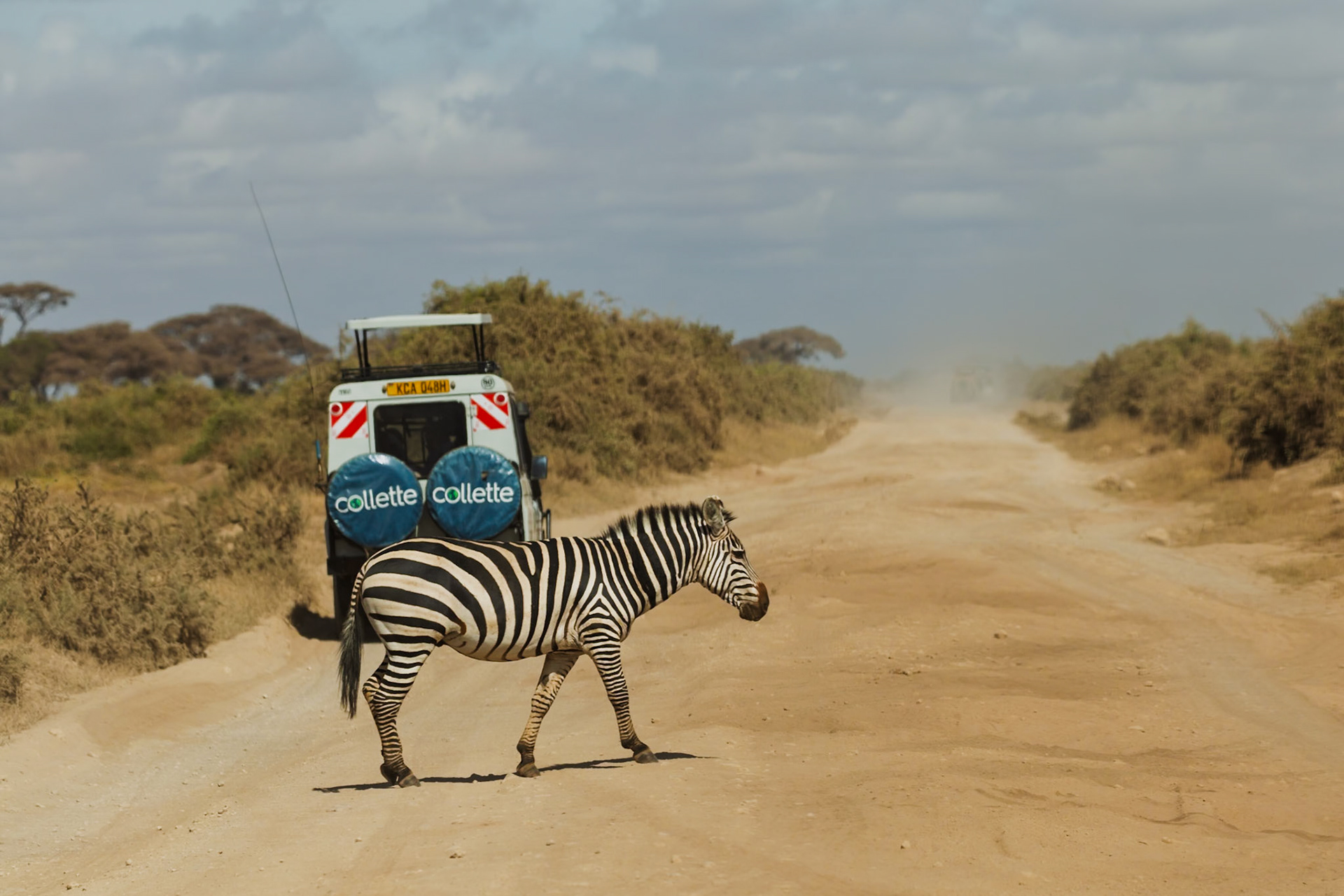 A zebra crosses a dirt road in Kenya's Amboseli National Park, with a safari vehicle behind it.