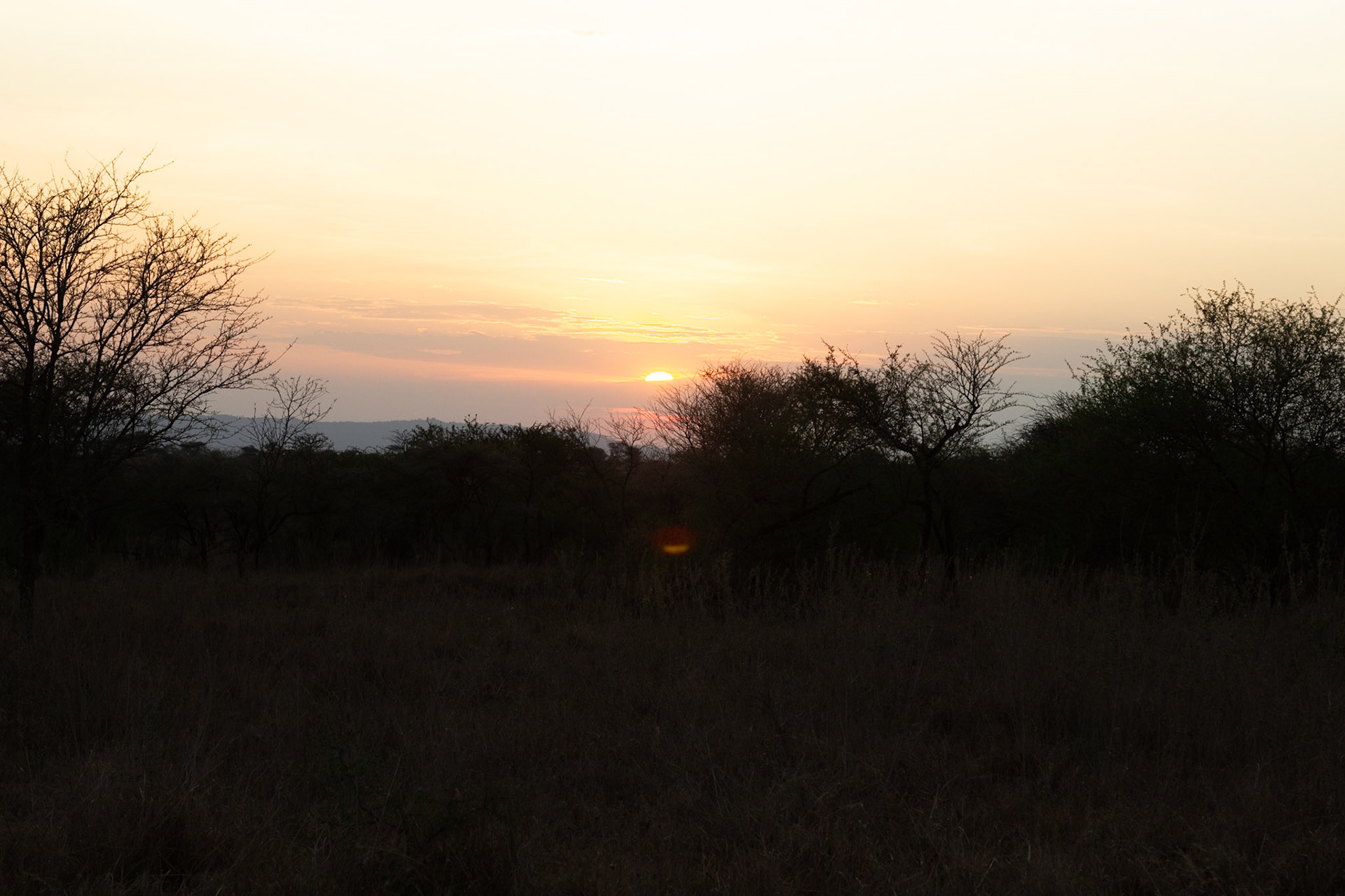 Sunset in Serengeti National Park, Tanzania, casting shadows on the landscape.