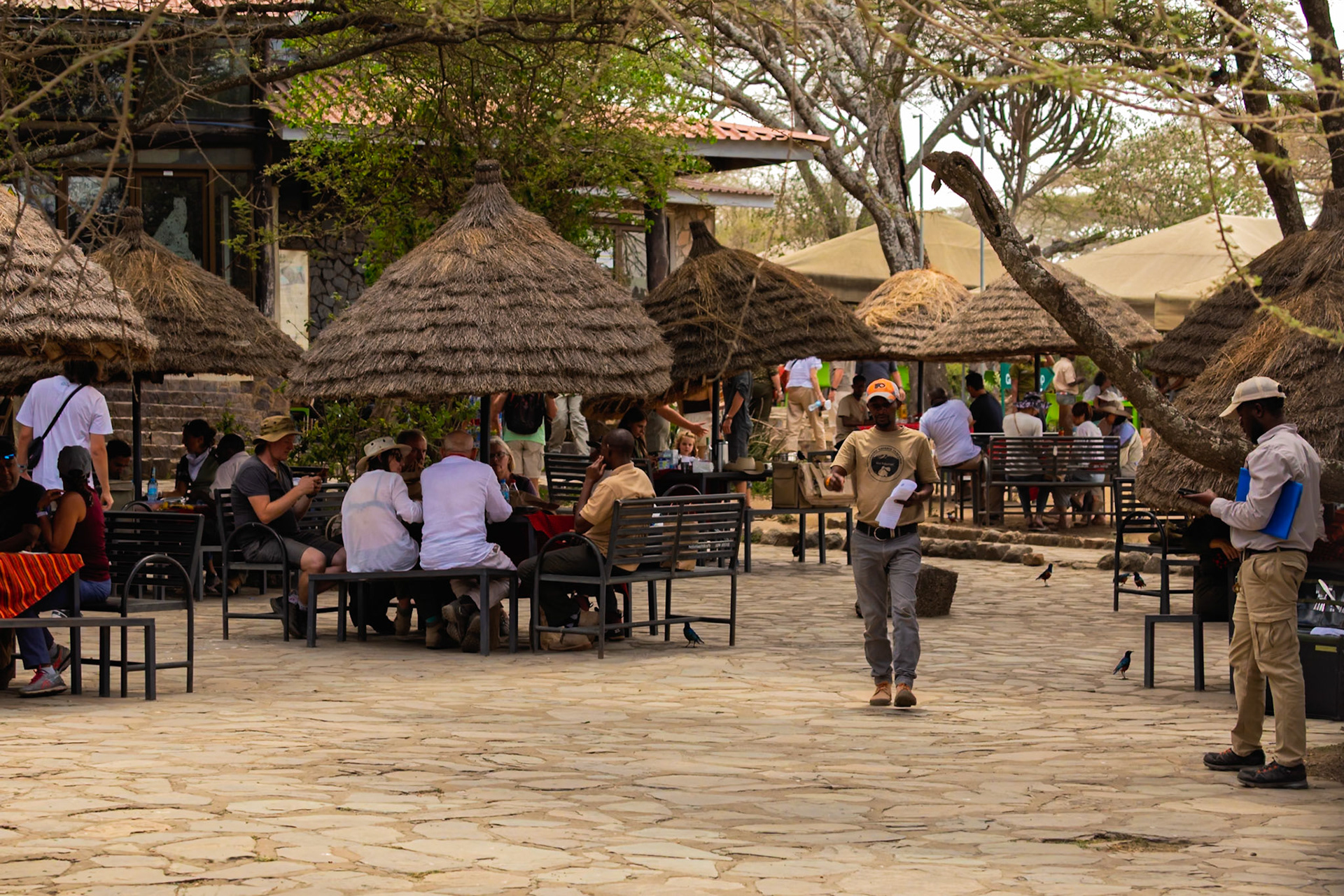 Tourists relax at a Serengeti National Park lodge in Tanzania, enjoying the scenery and refreshments after a safari adventure.