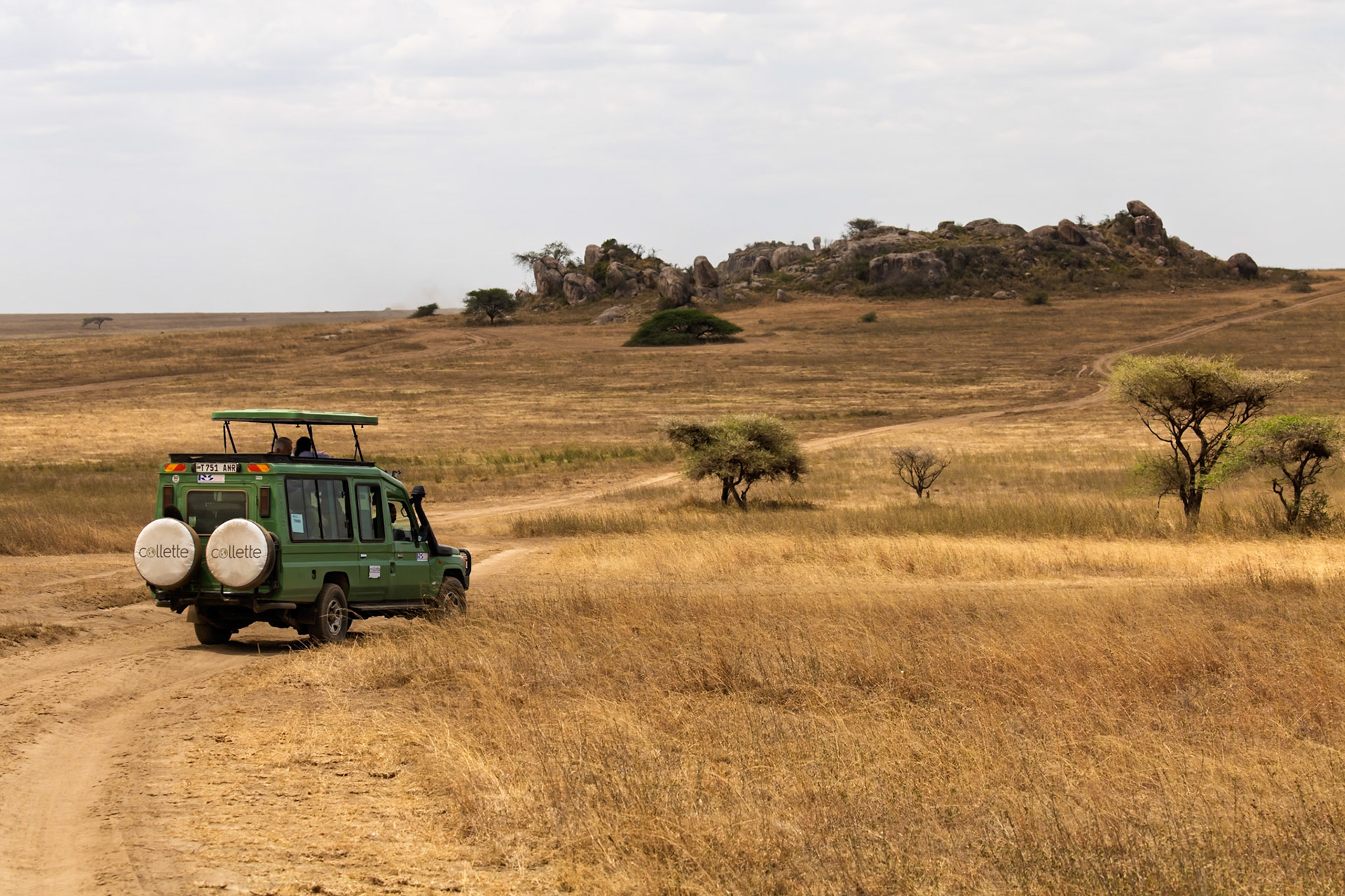 A safari vehicle drives through Serengeti National Park, Tanzania, offering tourists a view of the landscape.