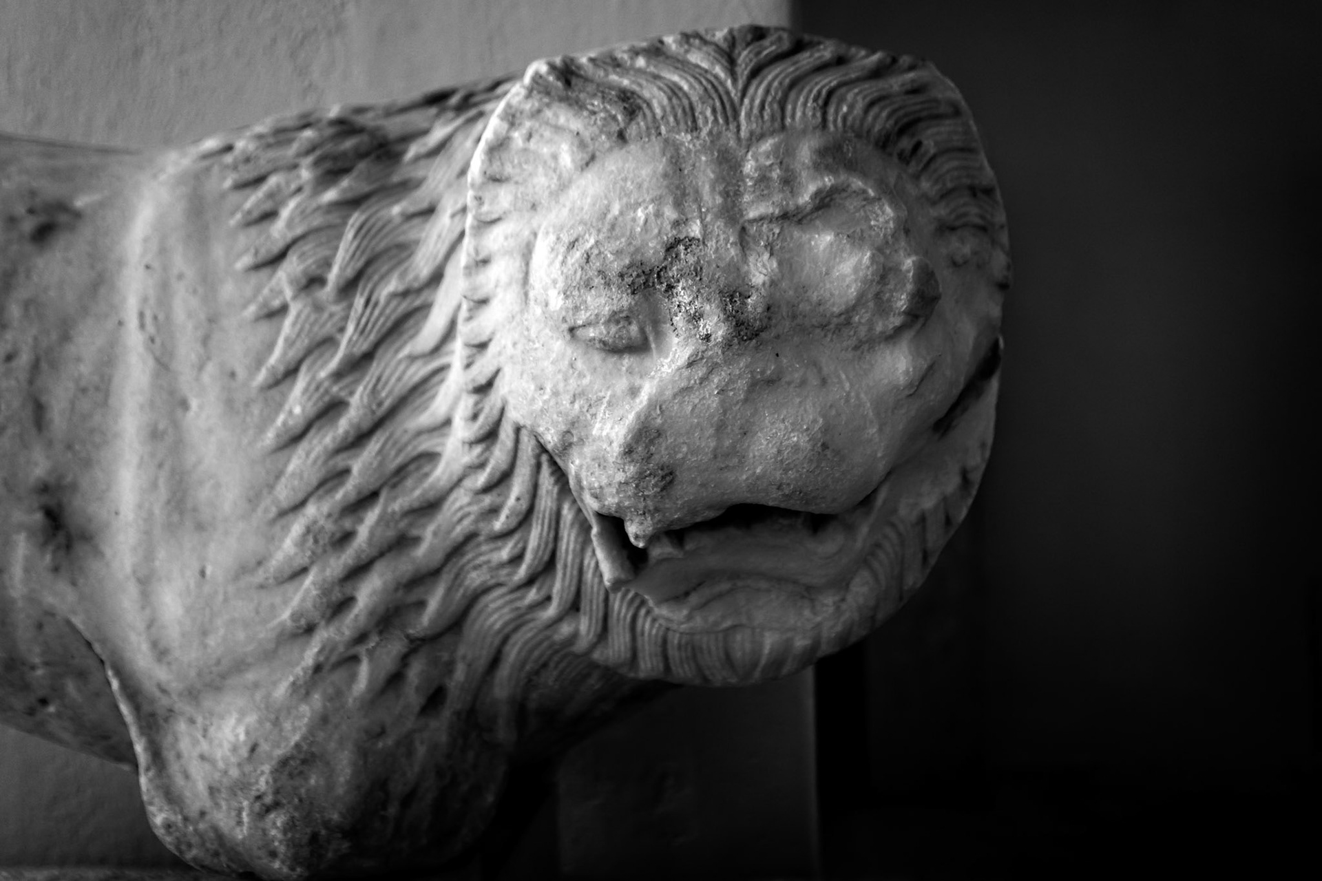 Delos, Greece - May 22nd 2018: A close-up of a weathered marble lion statue, part of the iconic Terrace of the Lions, guarding the sacred island of Delos.