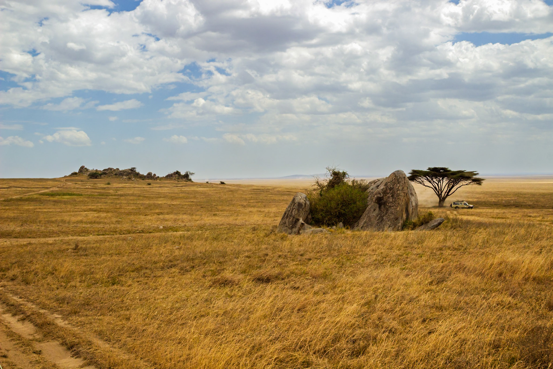 A safari vehicle drives through the Serengeti National Park in Tanzania, exploring the vast landscape.