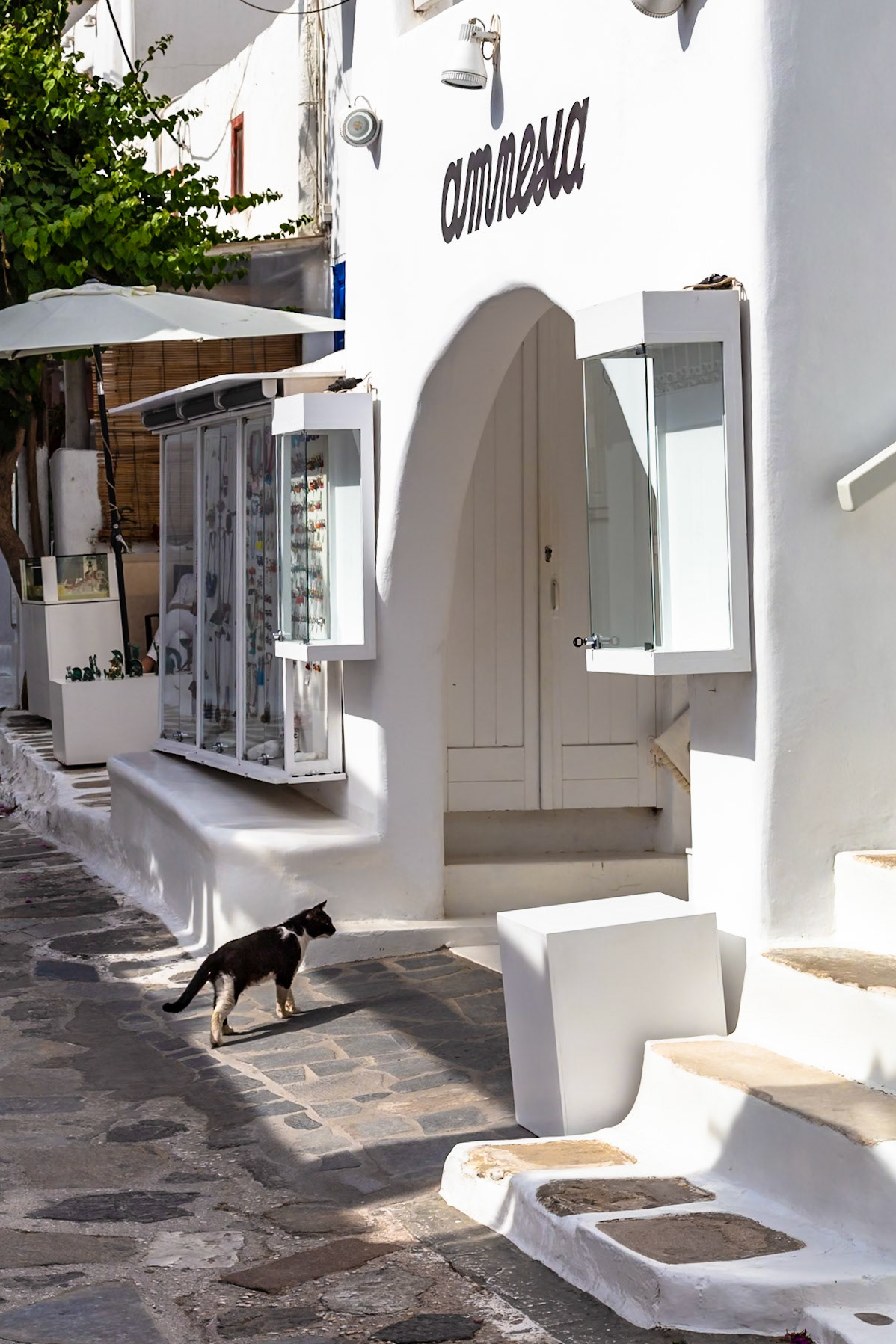 Mykonos, Greece - May 22nd 2018: A cat walks past the Amnesia shop, likely looking for food or a place to rest in the shade.