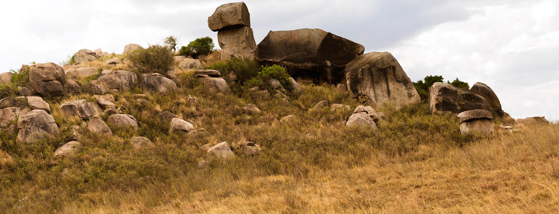 A kopje rises from the Serengeti plains in Tanzania, offering shelter and a vantage point for wildlife.