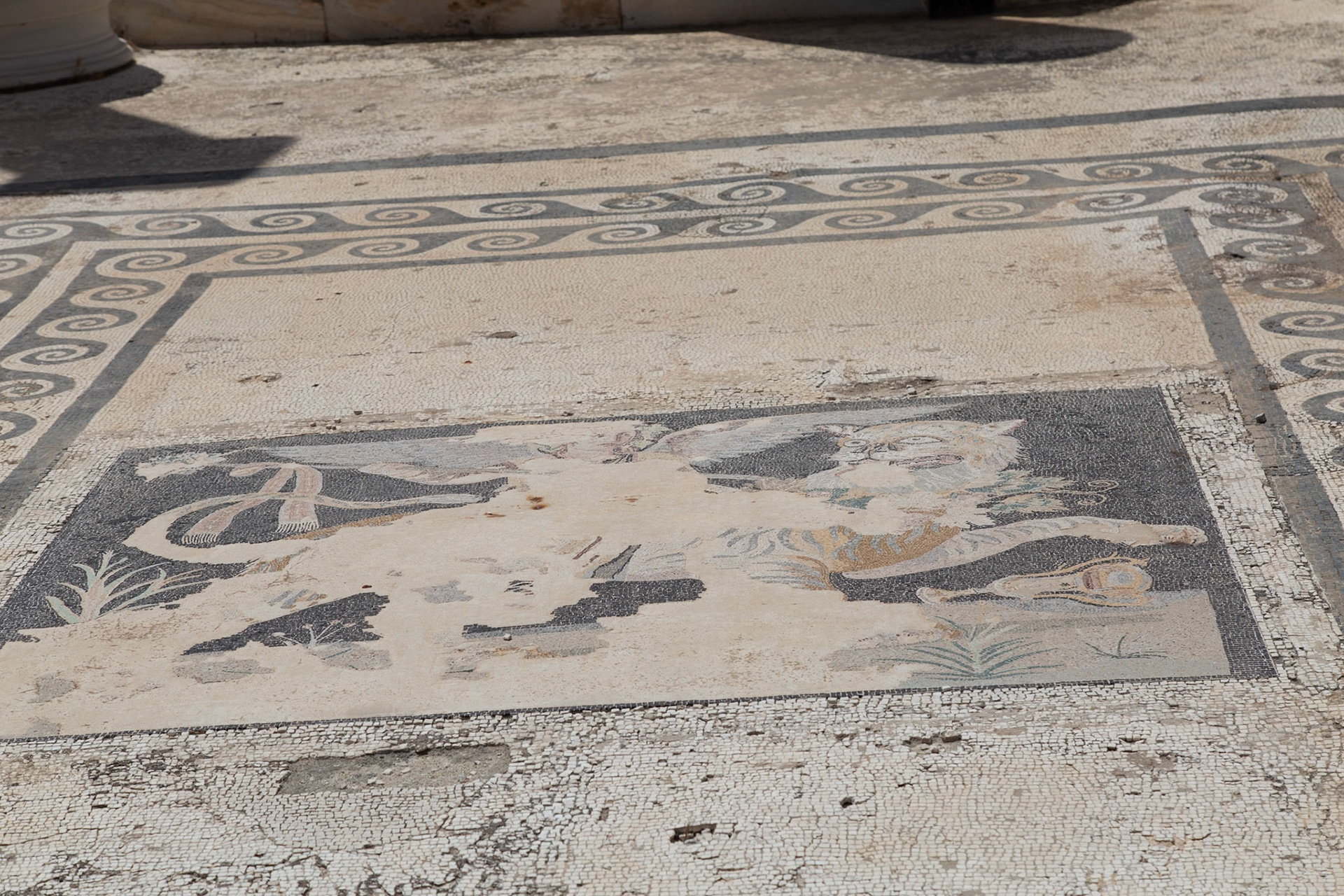 Delos, Greece - May 22nd 2018: A mosaic floor depicts a winged feline creature, possibly a griffin, in an ancient building on the island of Delos, showcasing ancient Greek artistry.
