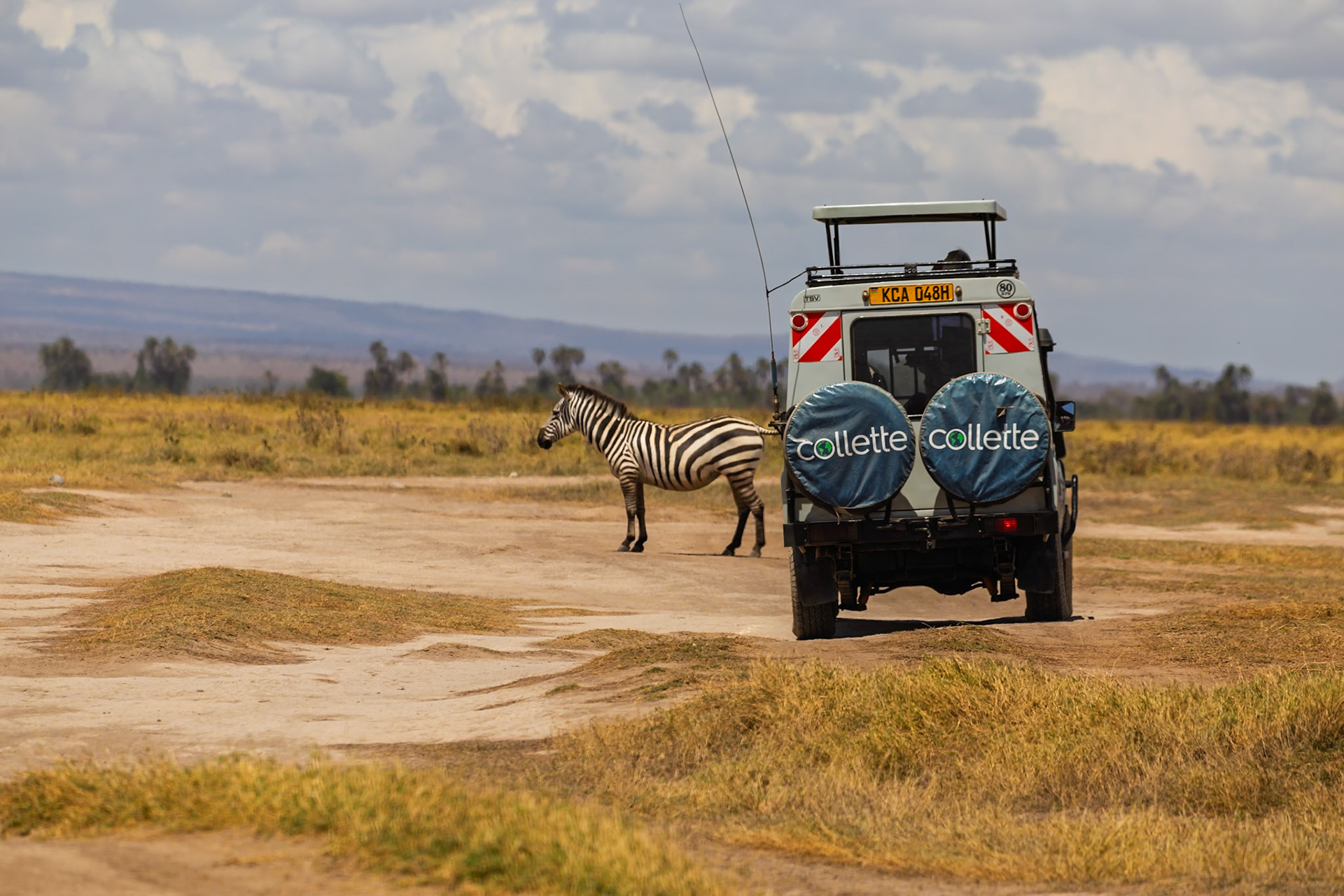 A zebra is seen in Kenya's Amboseli National Park, as a tour group in a safari vehicle observes the wildlife.