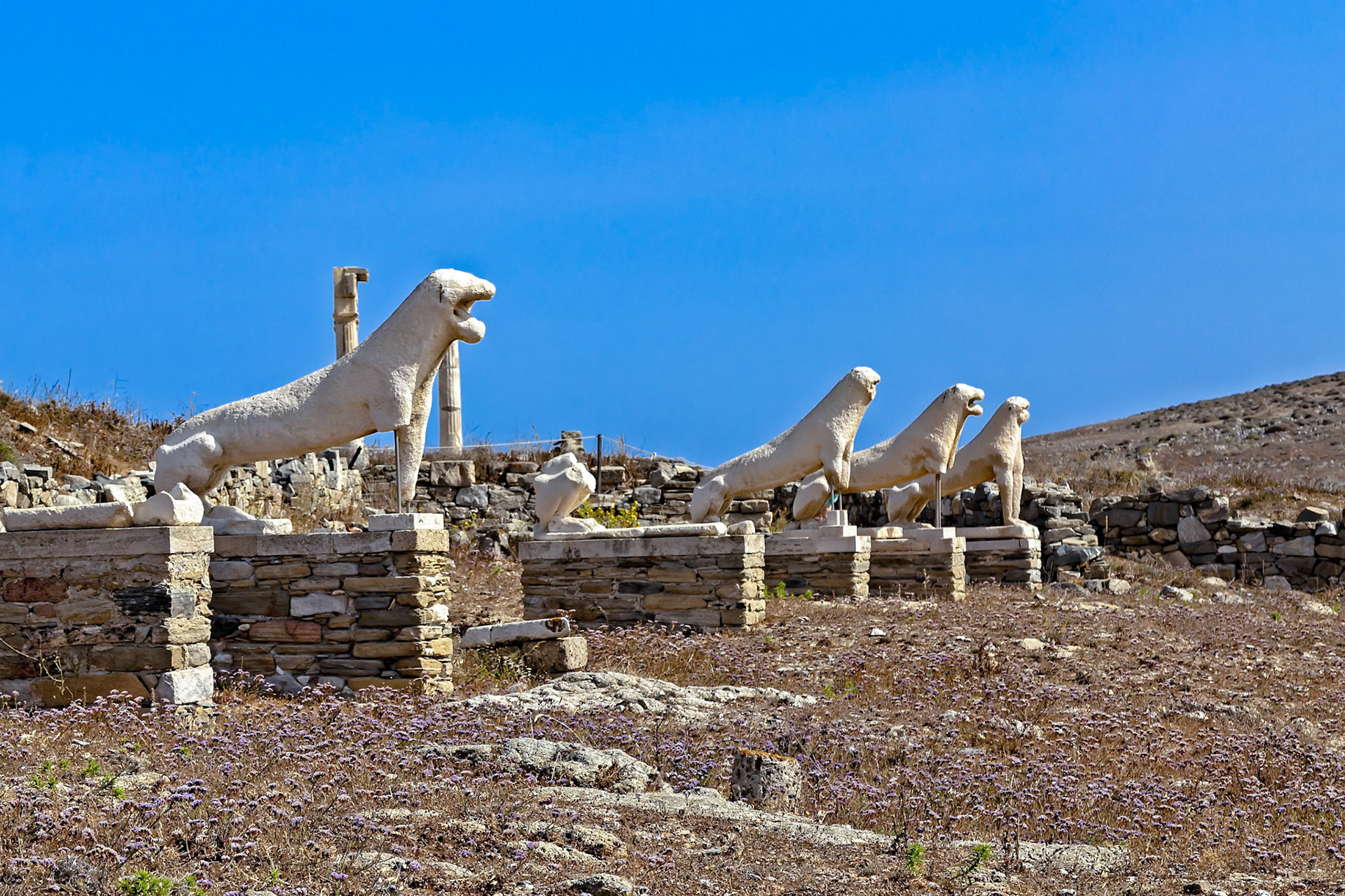 Delos, Greece - May 22nd 2018: The Terrace of the Lions, a row of marble statues, stands as guardians of the Sanctuary of Apollo, showcasing ancient Greek artistry.