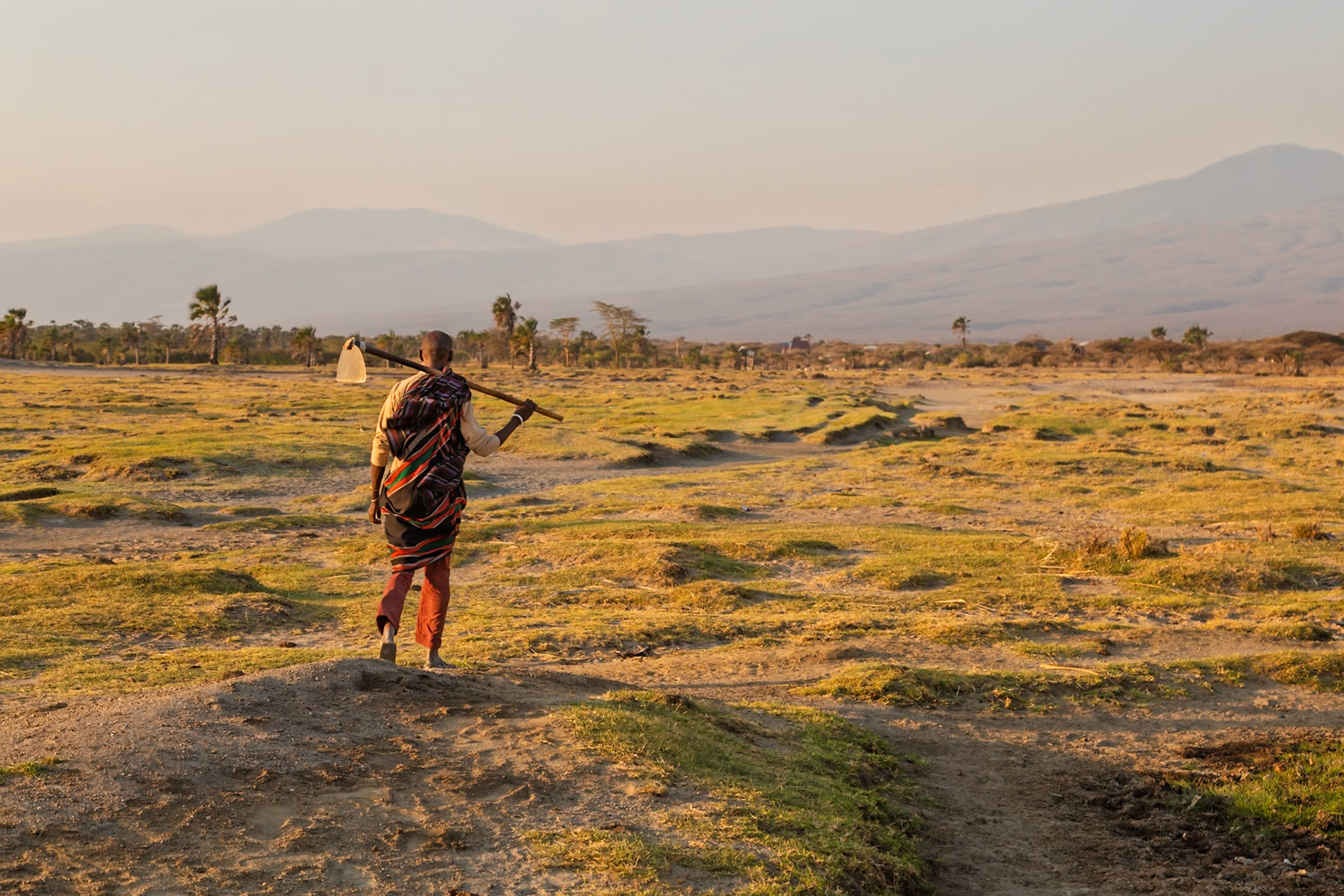 Lake Eyasi, Tanzania - September 27th 2025: A man carries a hoe across a grassy plain at sunset, likely heading to or from agricultural work.