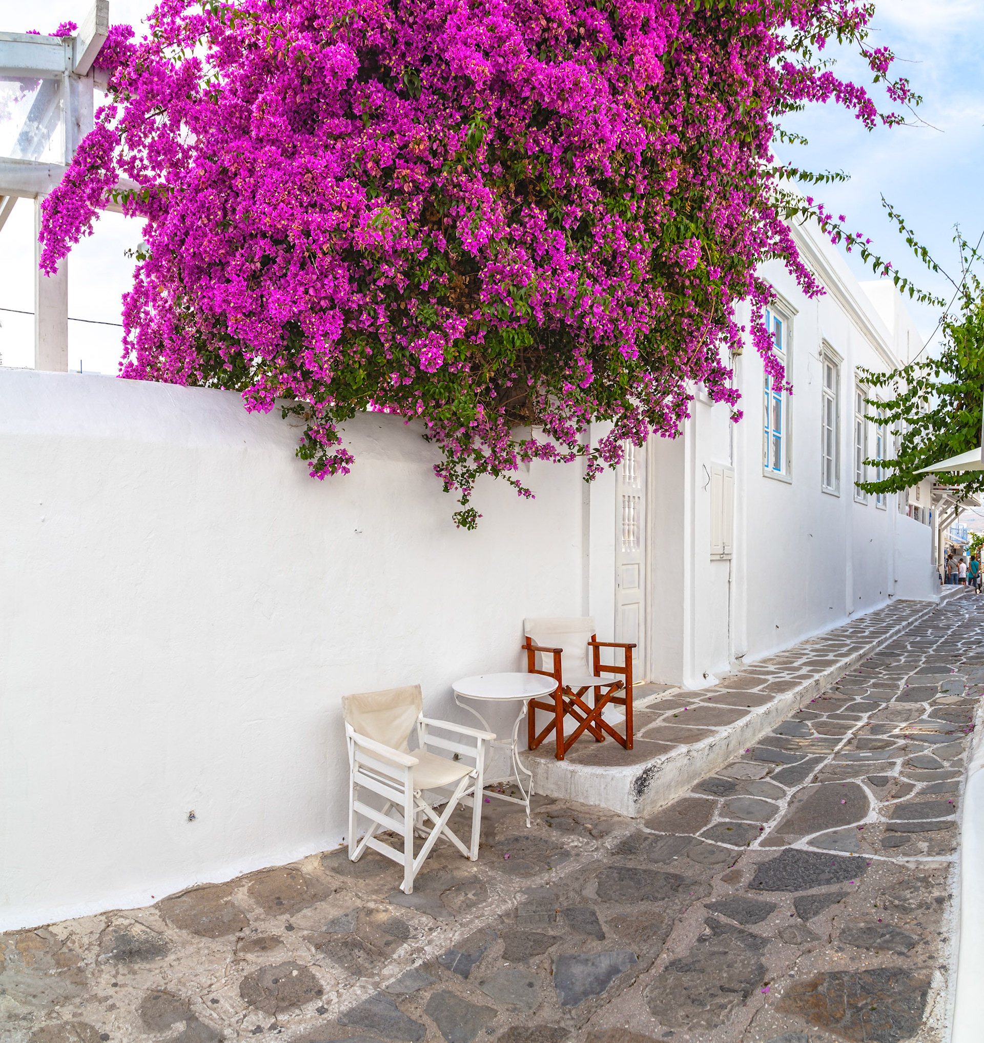 Mykonos, Greece - May 22nd 2018: A quaint cafe setup with chairs and a table sits on a stone street, shaded by vibrant bougainvillea flowers.
