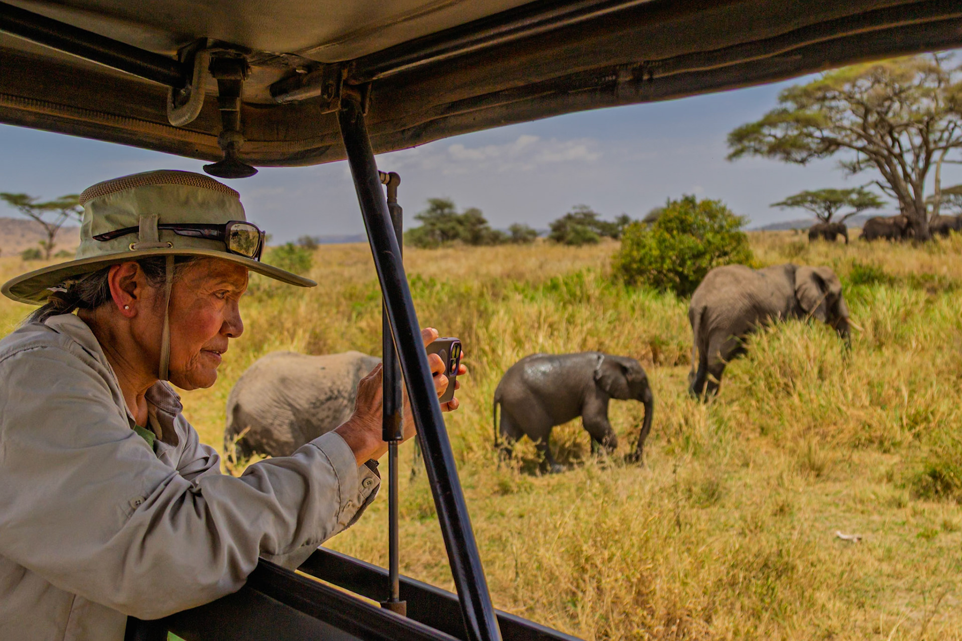 A tourist in Tanzania's Serengeti National Park captures elephants on camera during a safari adventure.