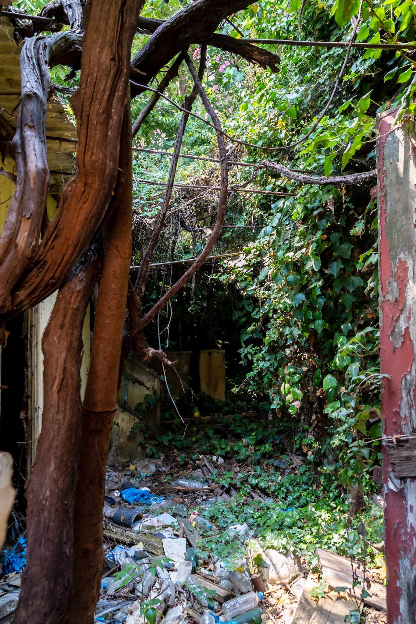 Athens, Greece - May 23rd 2018: Overgrown foliage and trash fill an abandoned building, showing urban decay and environmental neglect.