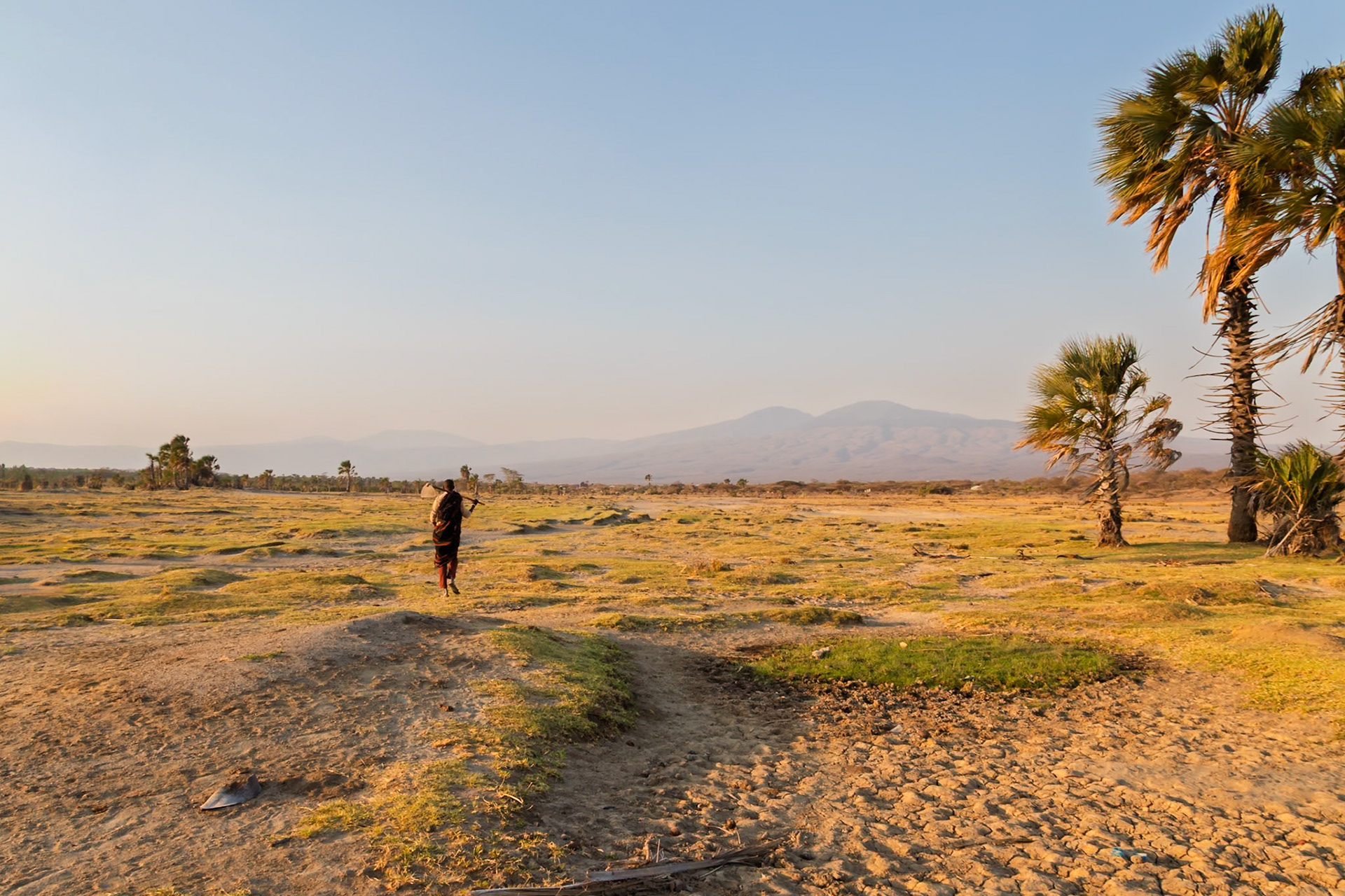 Lake Eyasi, Tanzania - September 27th 2025: A A man carries a hoe across a grassy plain at sunset, likely heading to or from agricultural work.