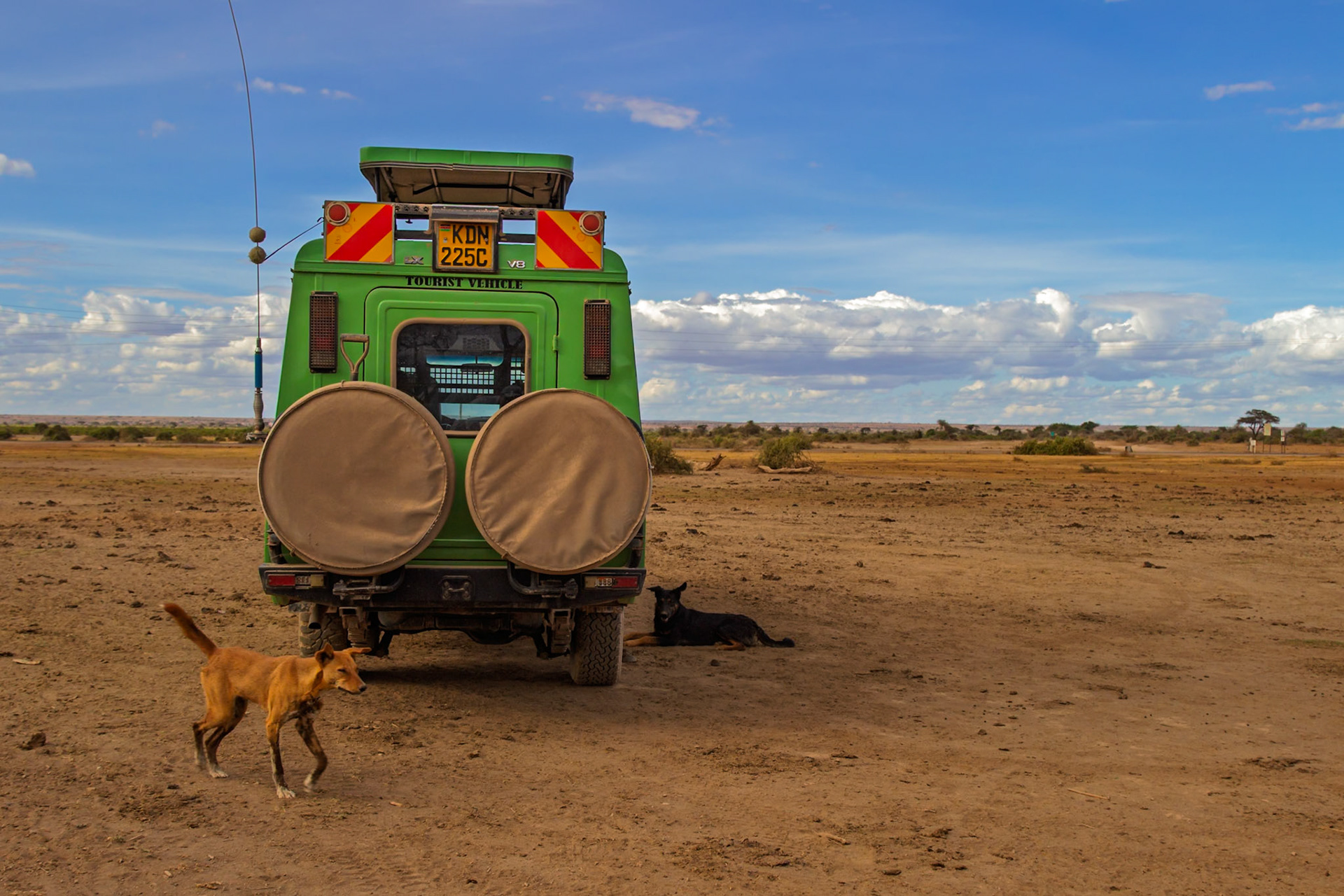 Dogs rest near a tourist vehicle in a Maasai village in Kenya. The vehicle likely brings visitors to experience Maasai culture.