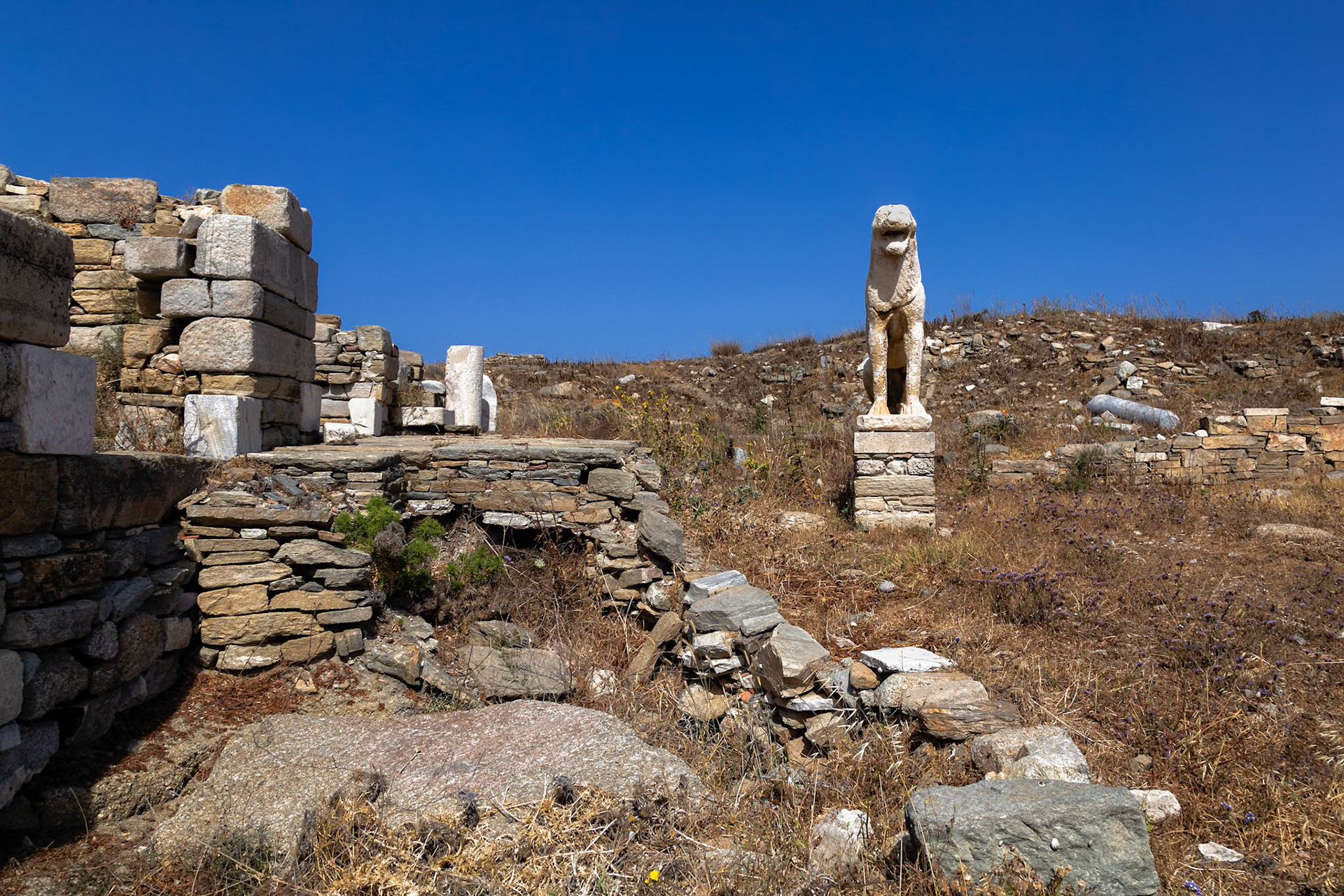 Delos, Greece - May 22nd 2018: An ancient lion statue stands guard among the ruins of Delos, a UNESCO World Heritage site, preserving history for future generations.