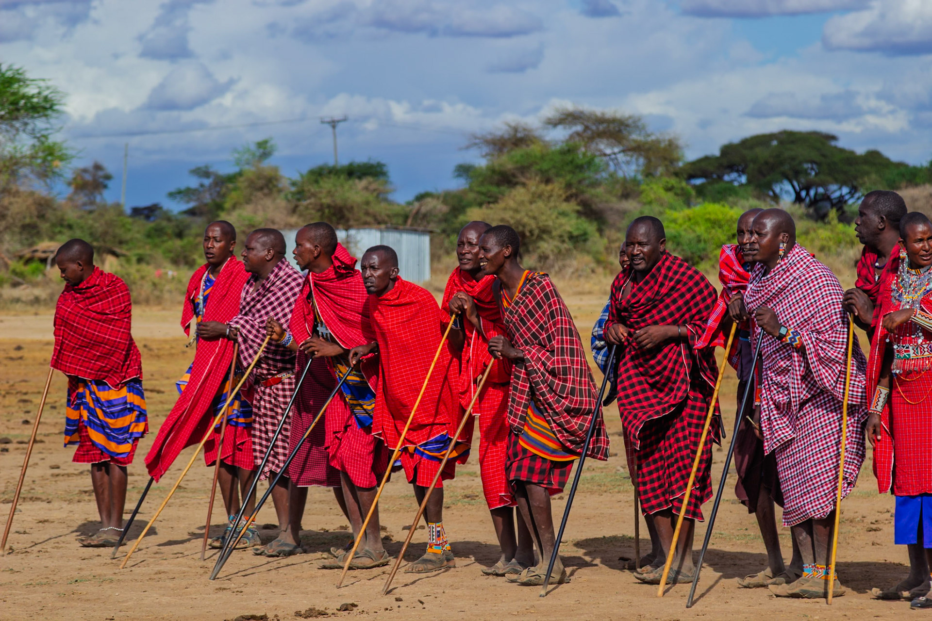 A group of Maasai men in Kenya, wearing traditional shuka cloths and carrying rungu sticks, stand together in their village.