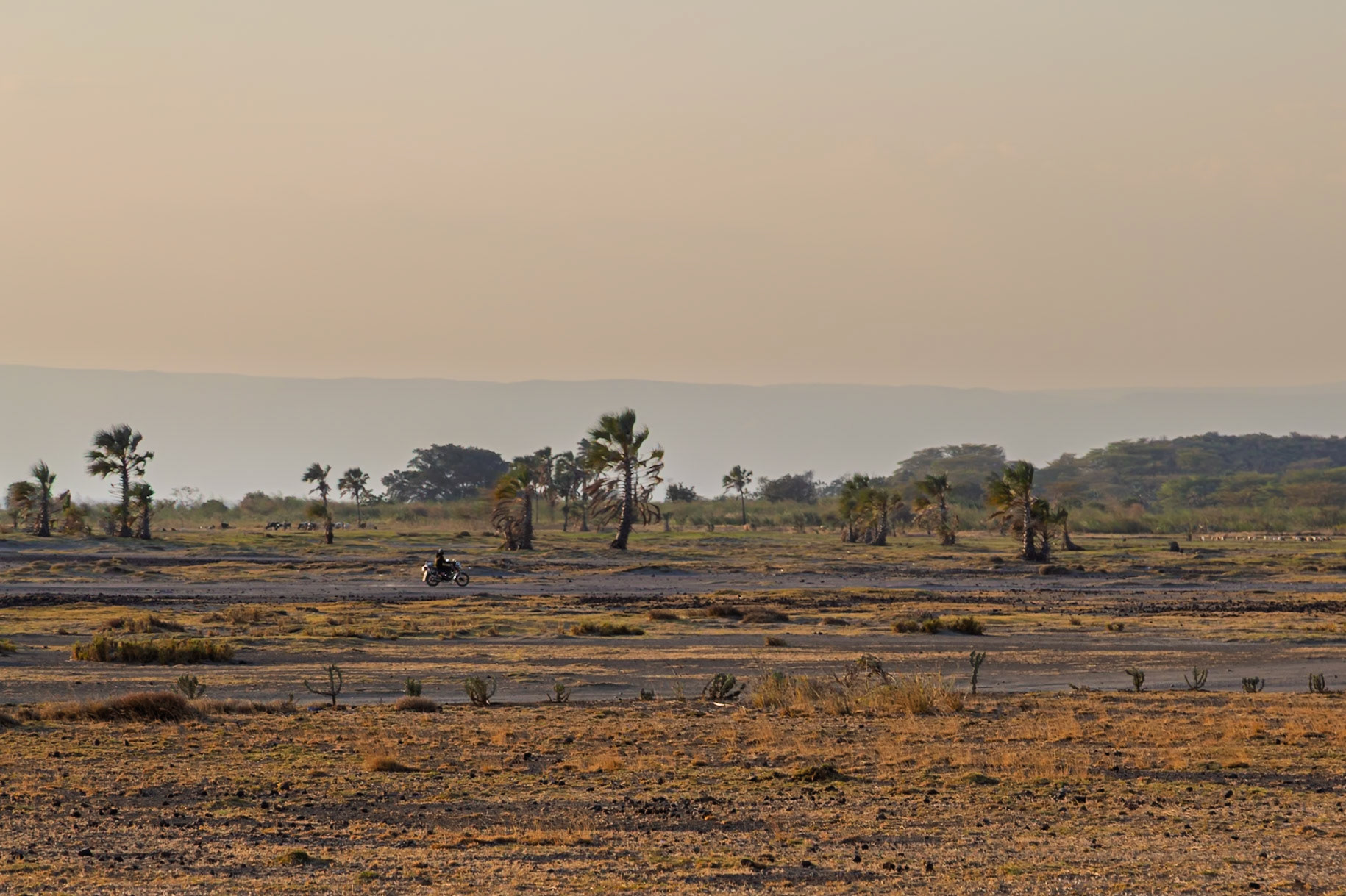 Lake Eyasi, Tanzania - September 27th 2025: A lone motorcyclist rides through the dry landscape near Lake Eyasi.
