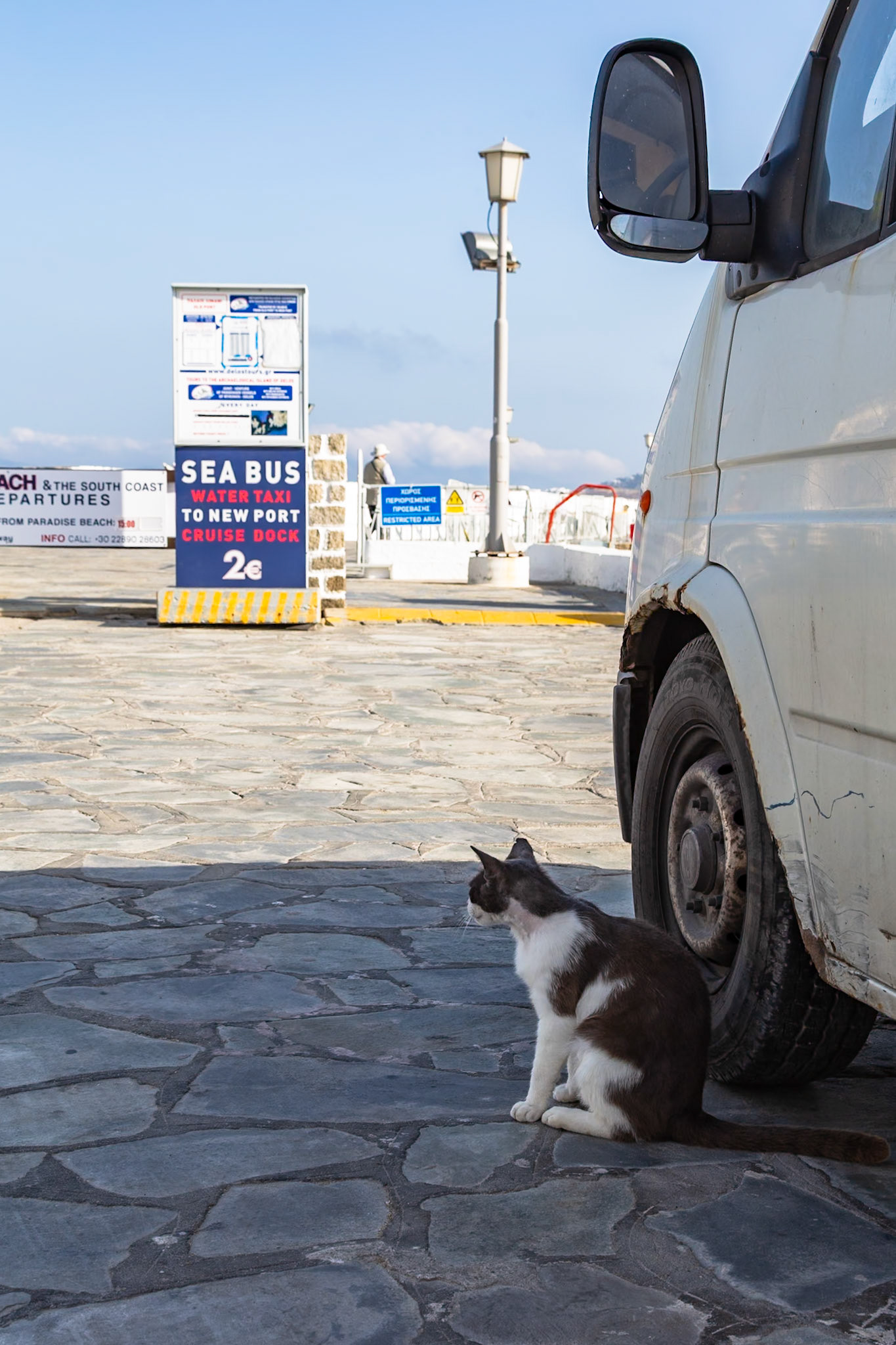 Mykonos, Greece - May 23rd 2018: A cat sits near a van by the Sea Bus water taxi sign, waiting for a ride to the new port cruise dock.