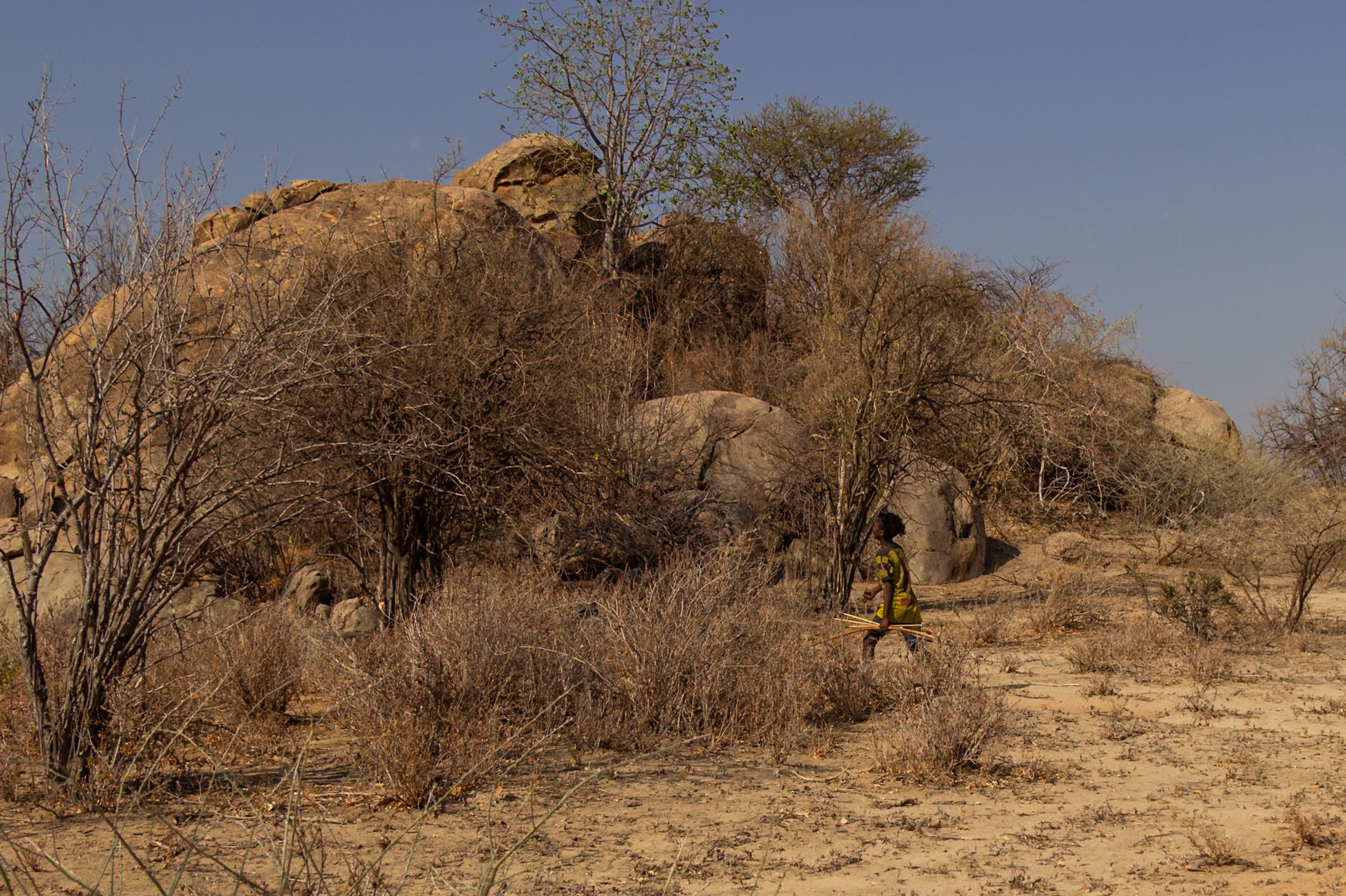 Hadzabe Tribe Camp, Tanzania - September 27th 2025: A young hunter carries his bow and arrows, ready to hunt.